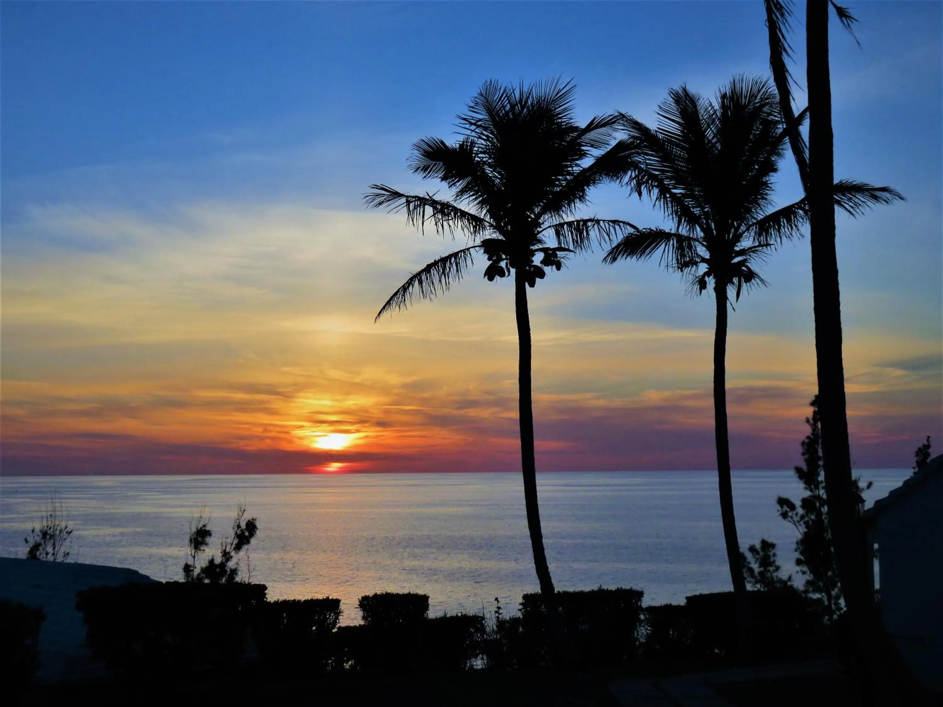 Sea view in Willowbank Resort