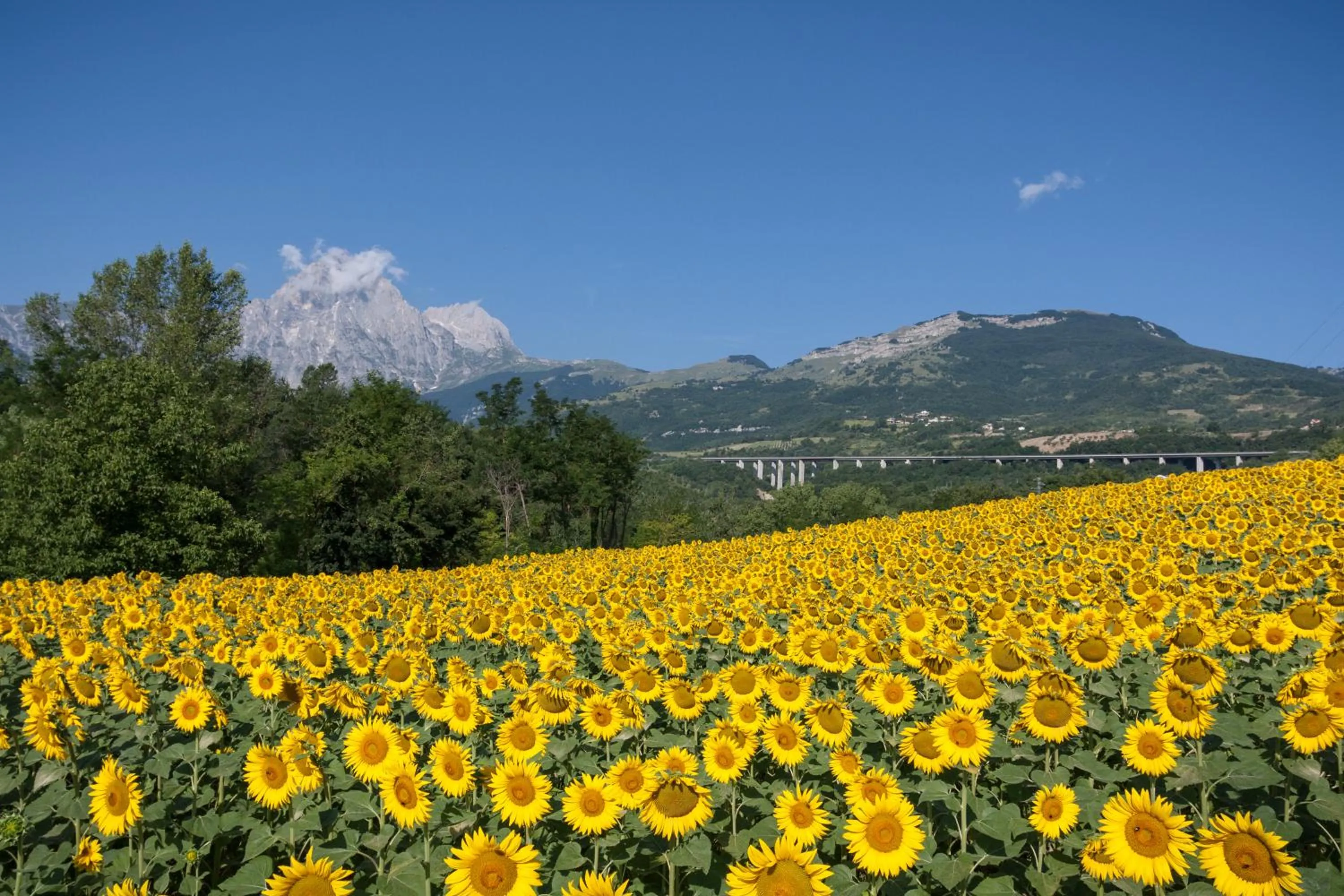 Off site in Locanda Del Parco Hotel