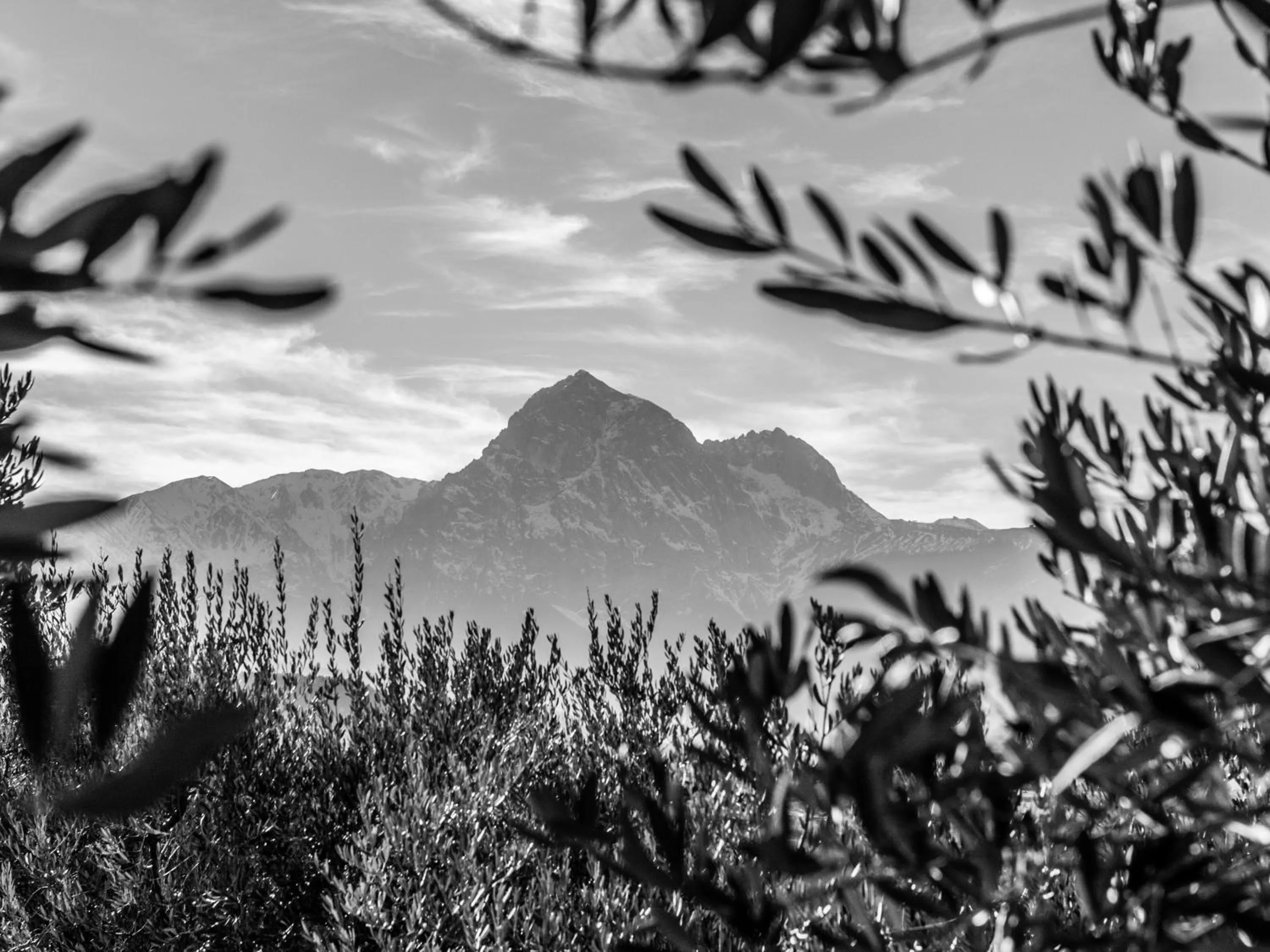 Off site in Locanda Del Parco Hotel