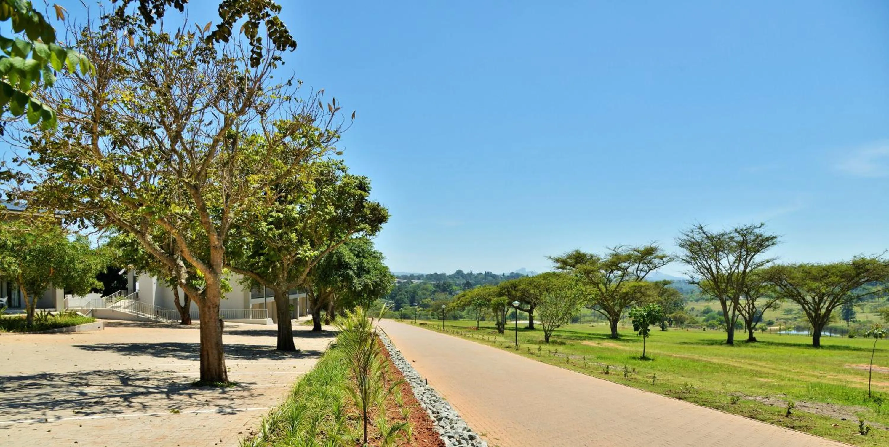 Natural landscape, Garden in Ingwenyama Conference & Sports Resort