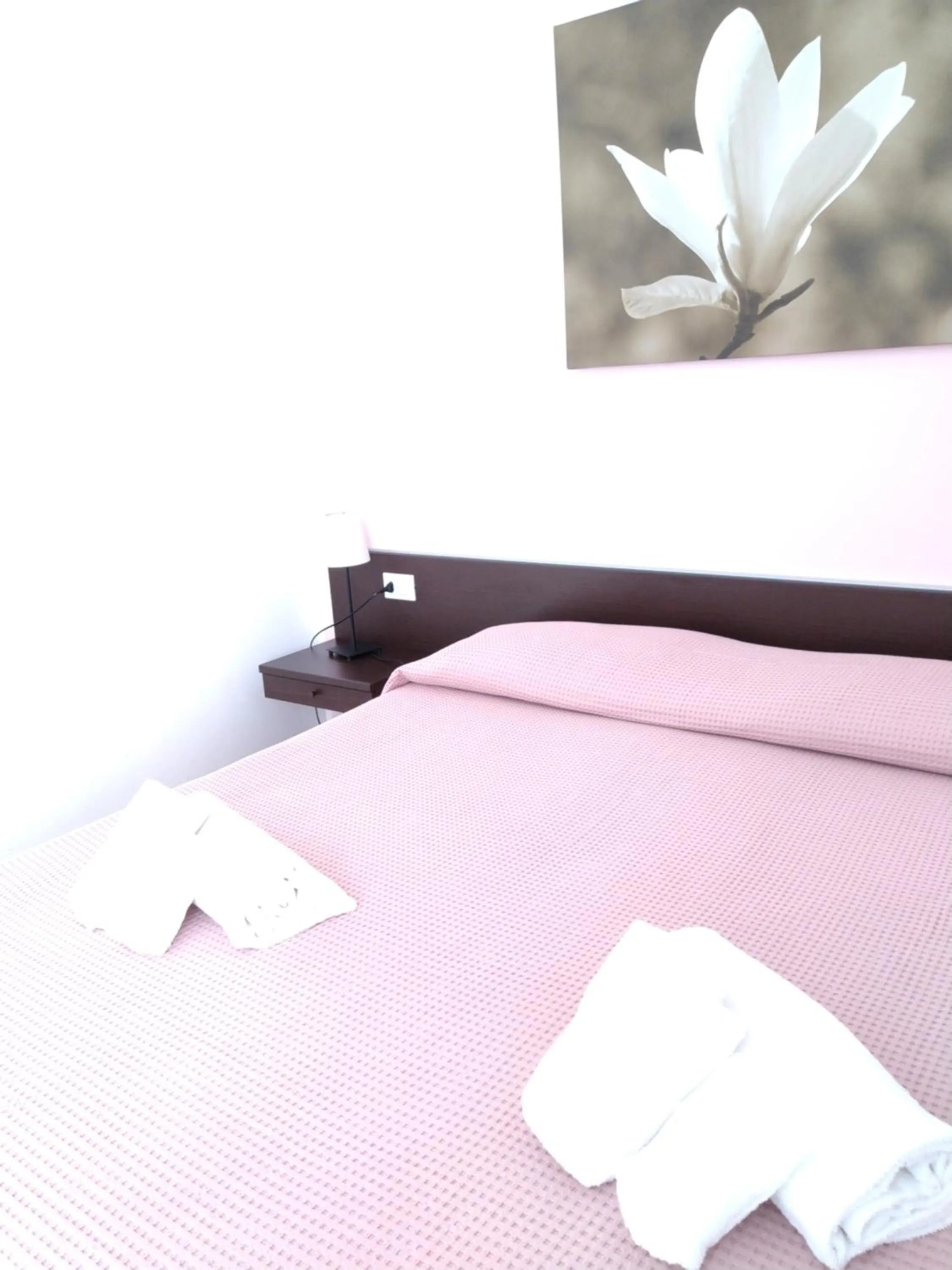 Double Room in Magnolia Room & Breakfast