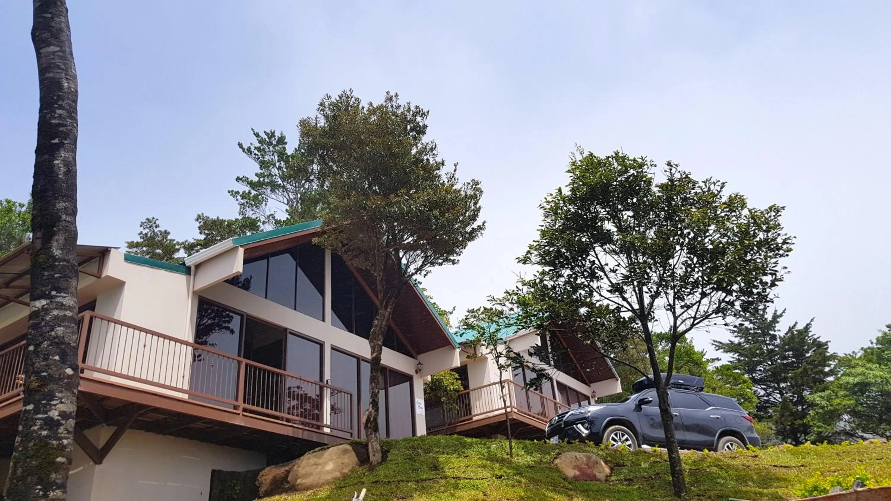 Green Forest Rustic Houses