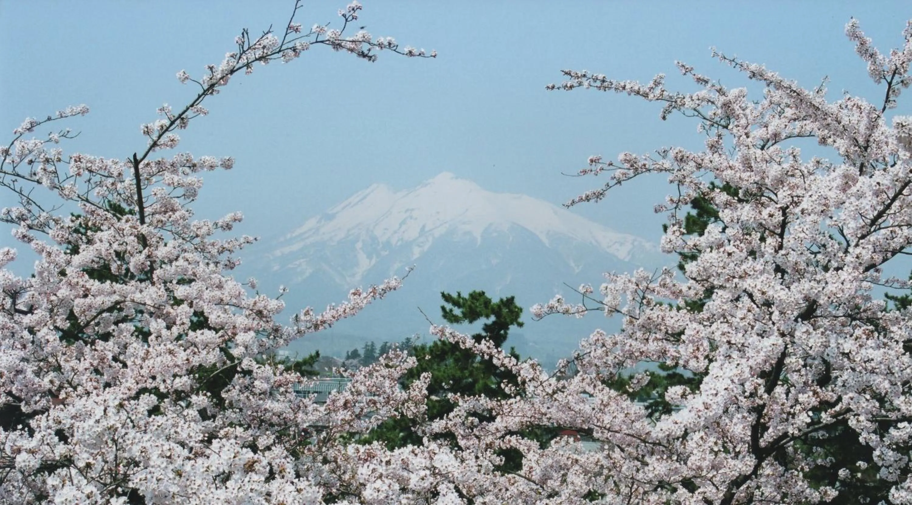 Nearby landmark in PittINN