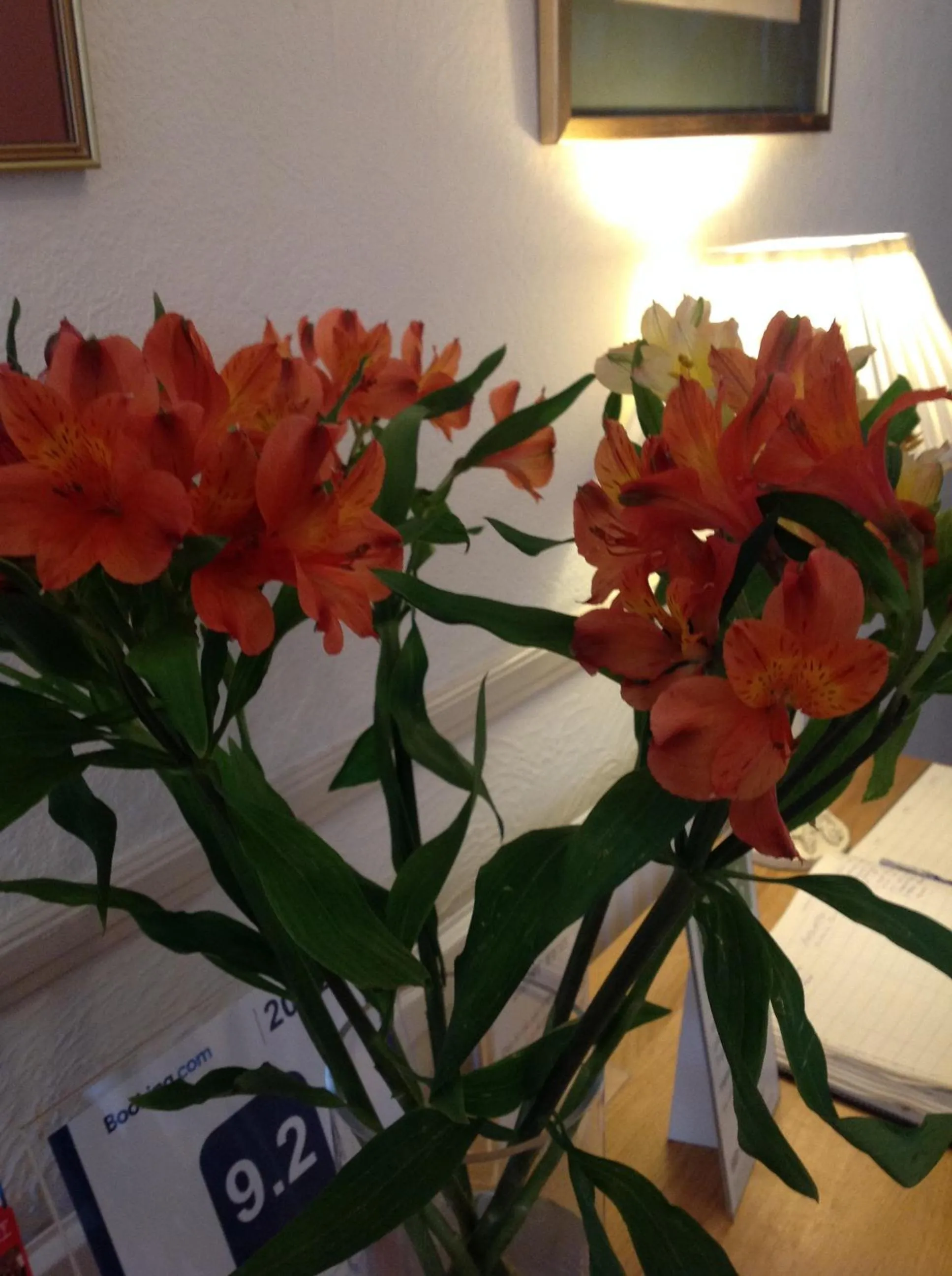 Facade/entrance in Hazeldene Guest House