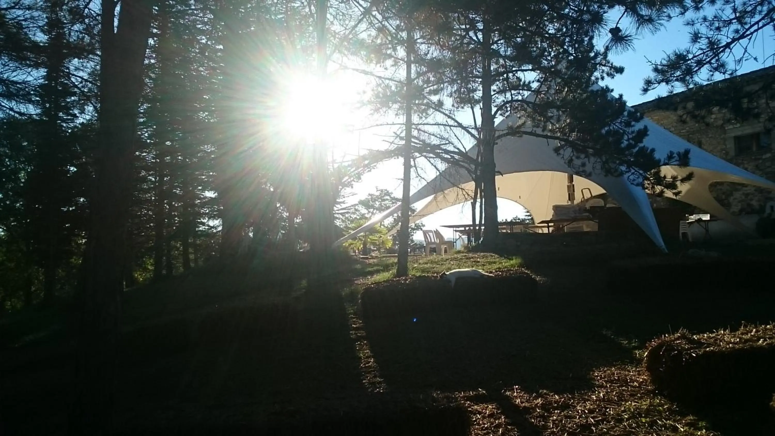 Garden in Suite Médiévale 40m2 chambre d' hôte du Mas Fabrègue