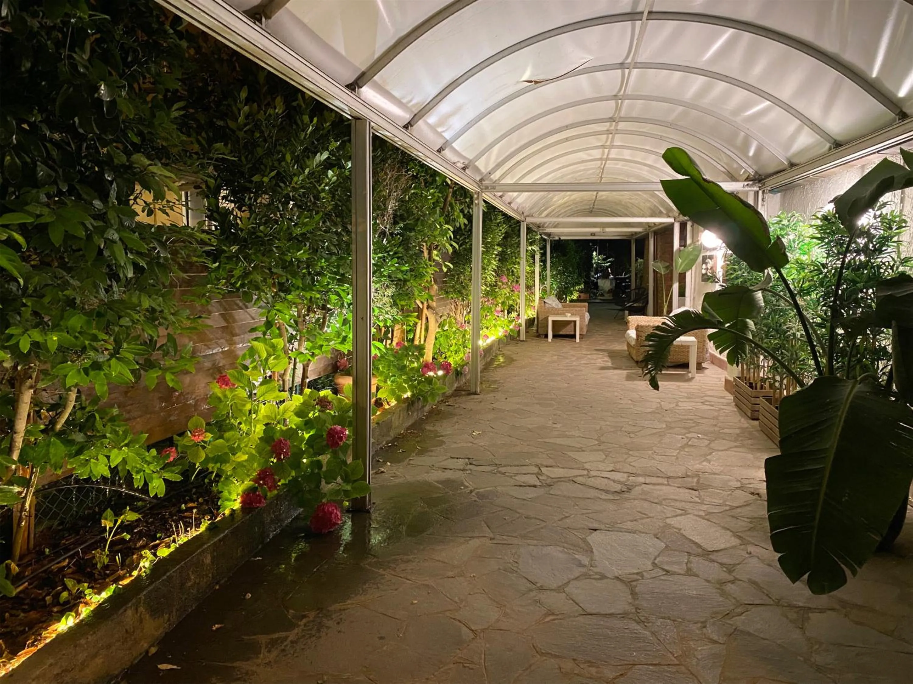 Garden in Hotel Kinda