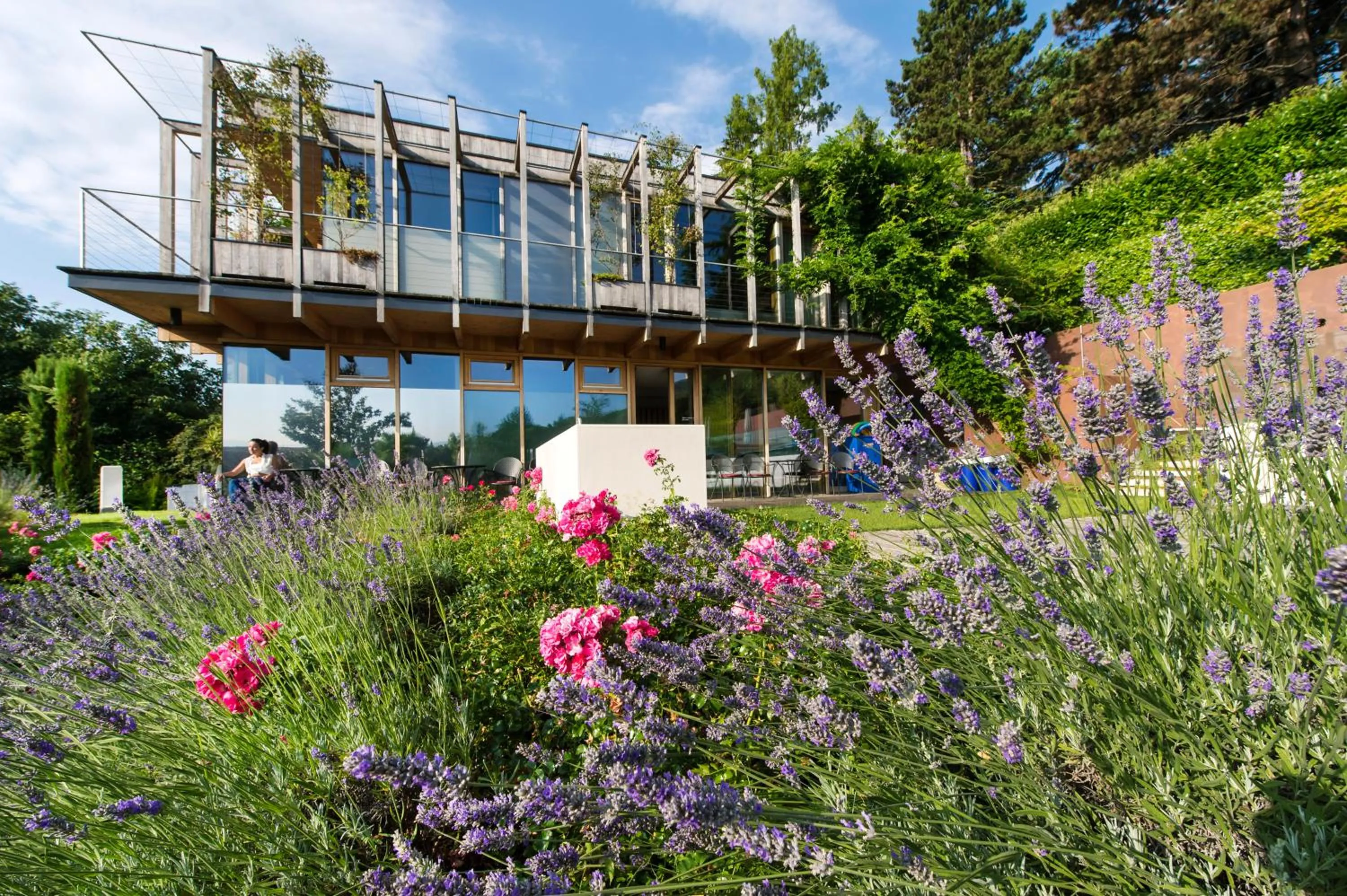 Property building in Hotel Goldener Stern