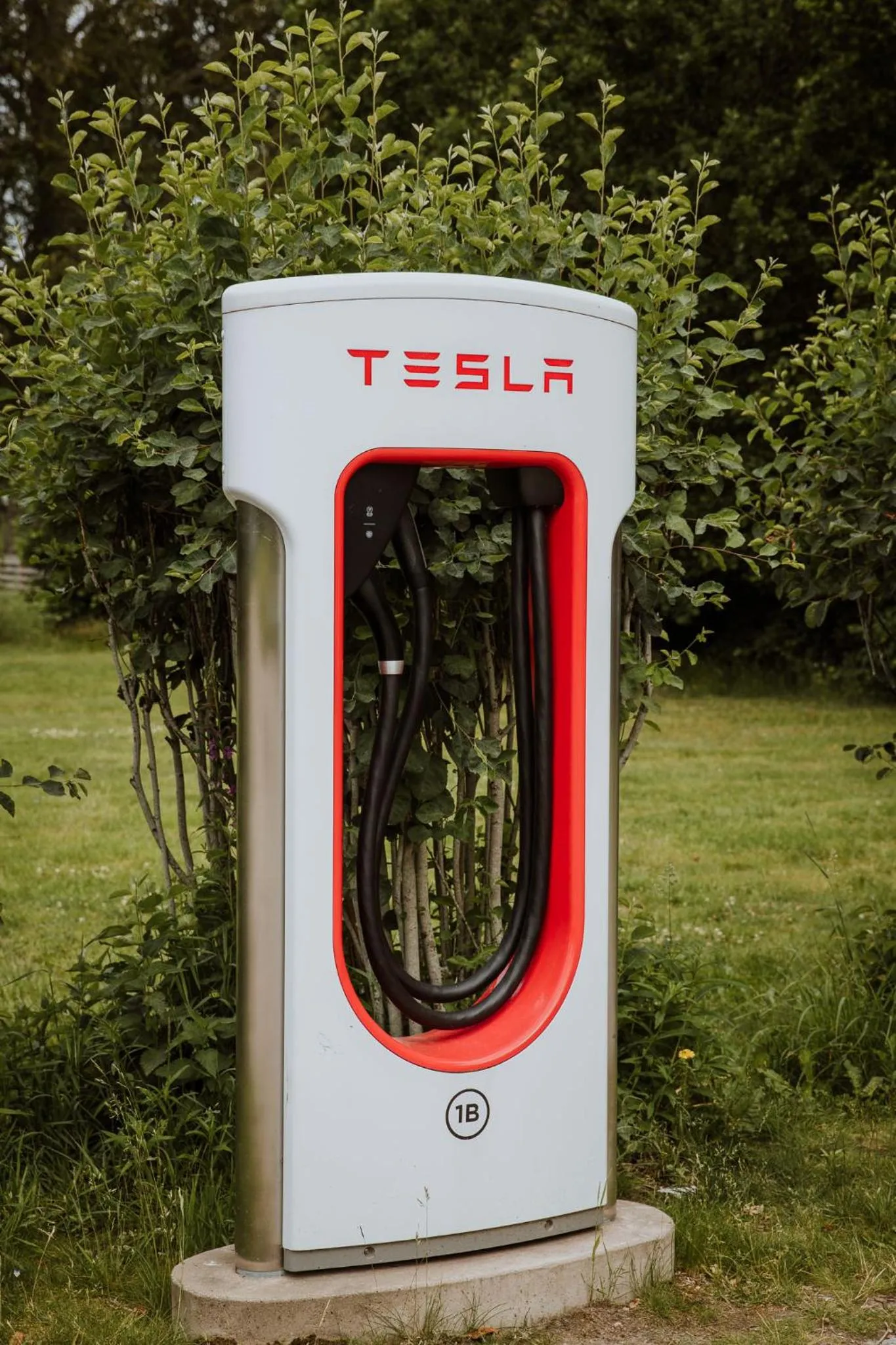 Property logo or sign in Toftaholm Herrgård