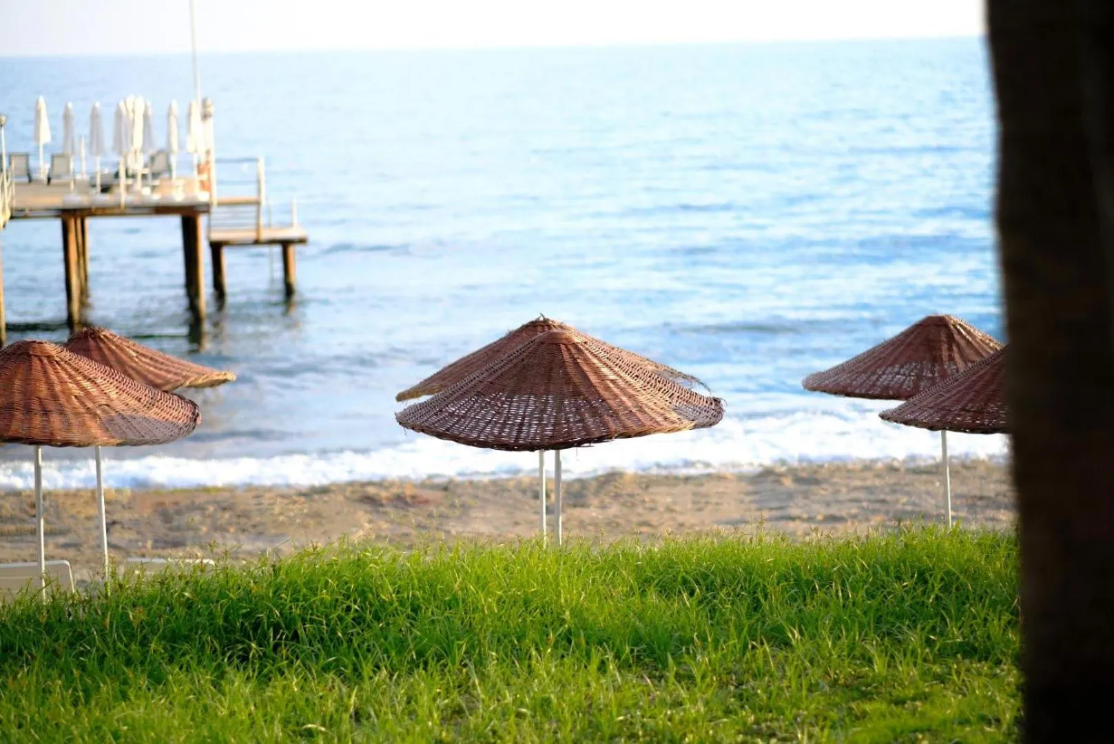 Natural landscape in Anitas Hotel