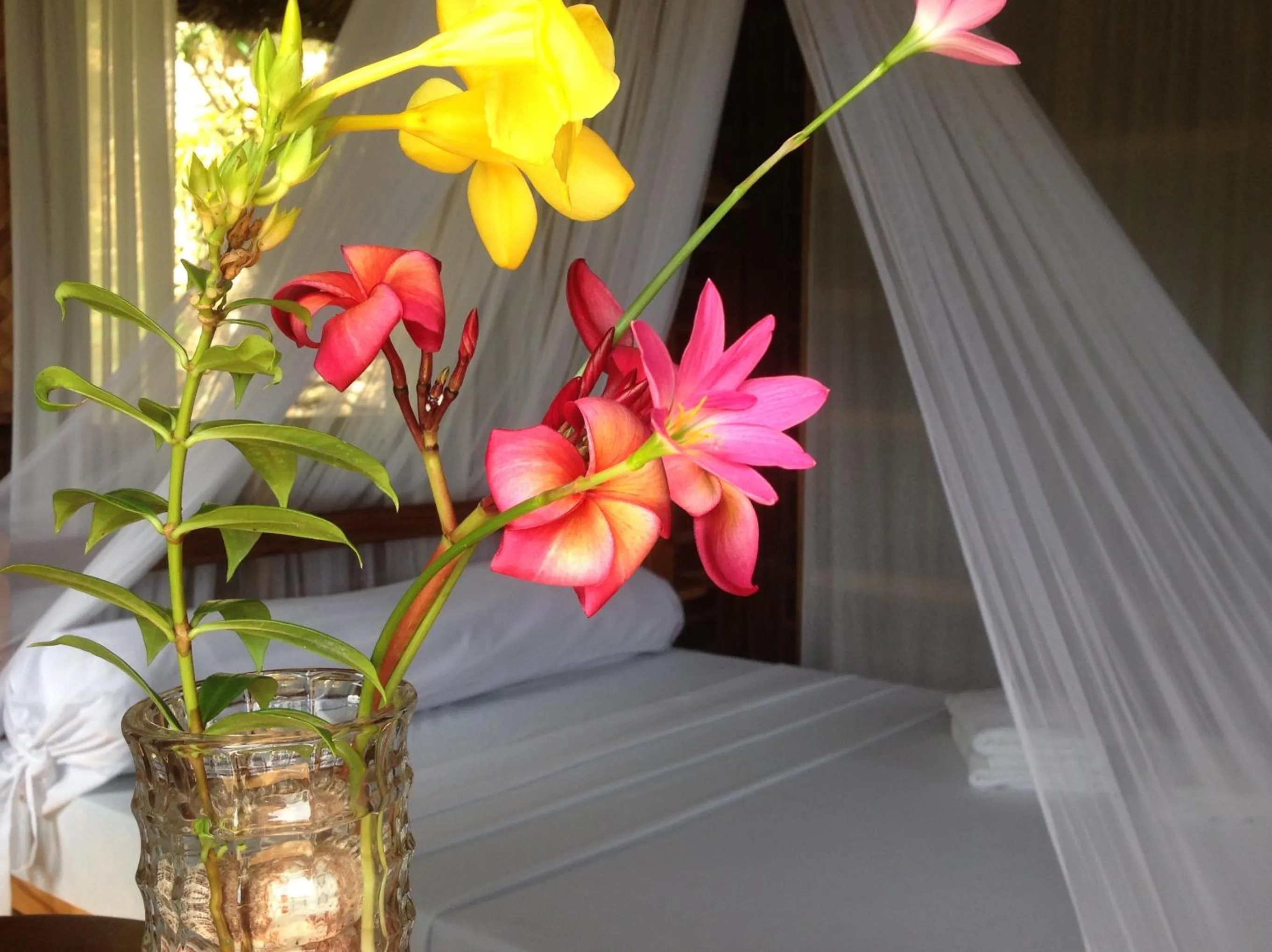 Tinaoog Beach Resort