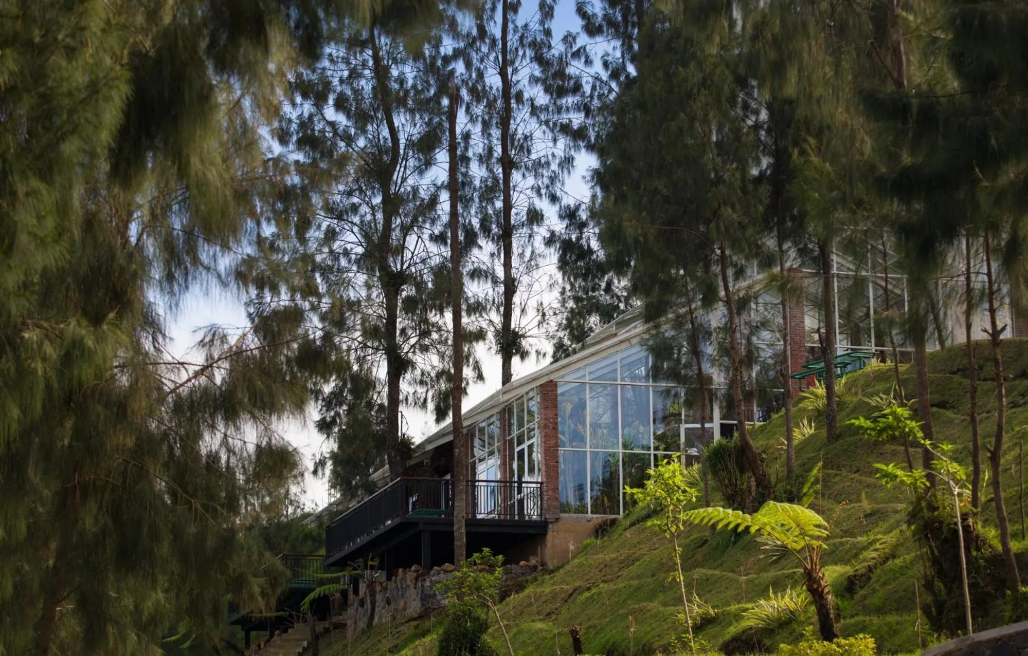 Garden in Plataran Bromo