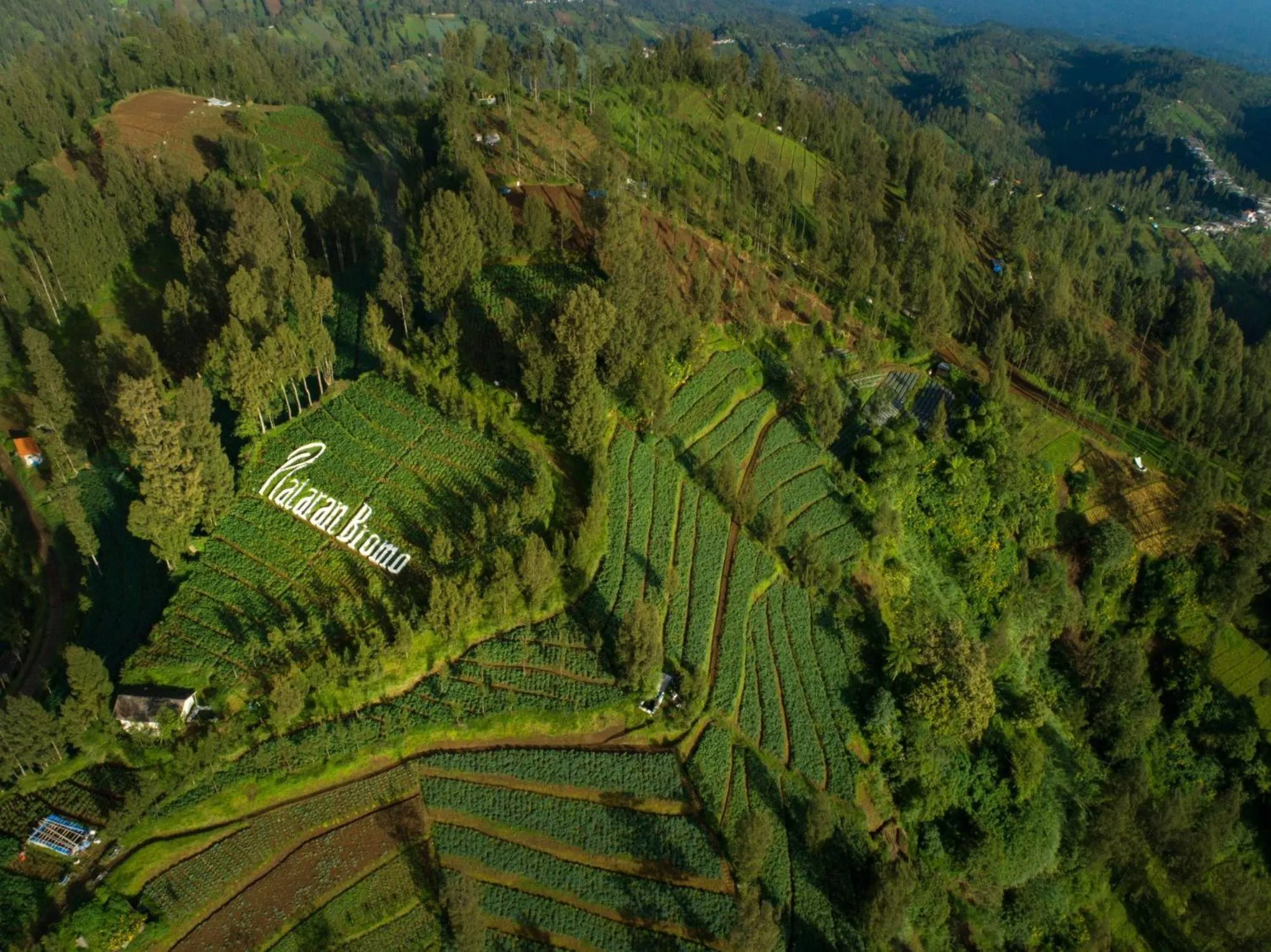 Natural landscape in Plataran Bromo
