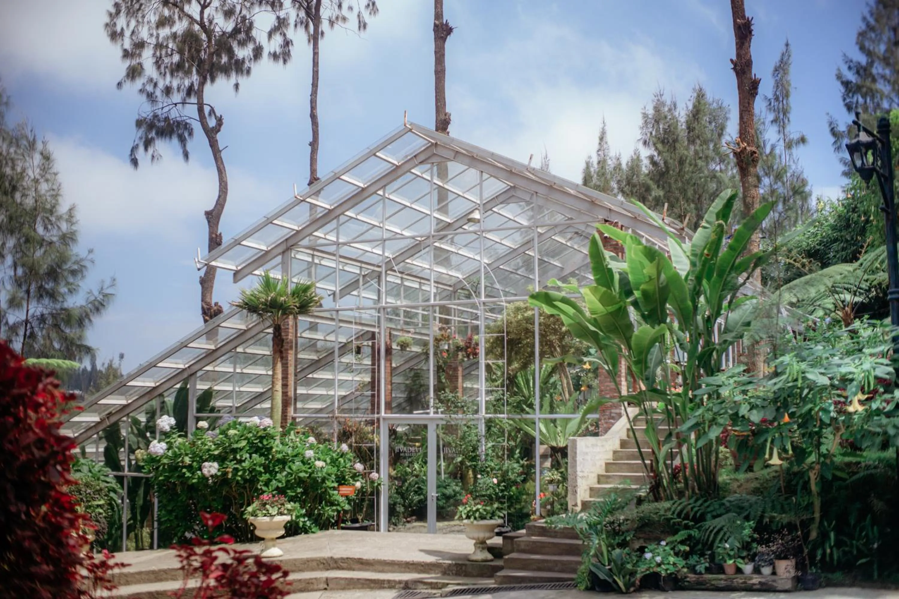 Garden in Plataran Bromo