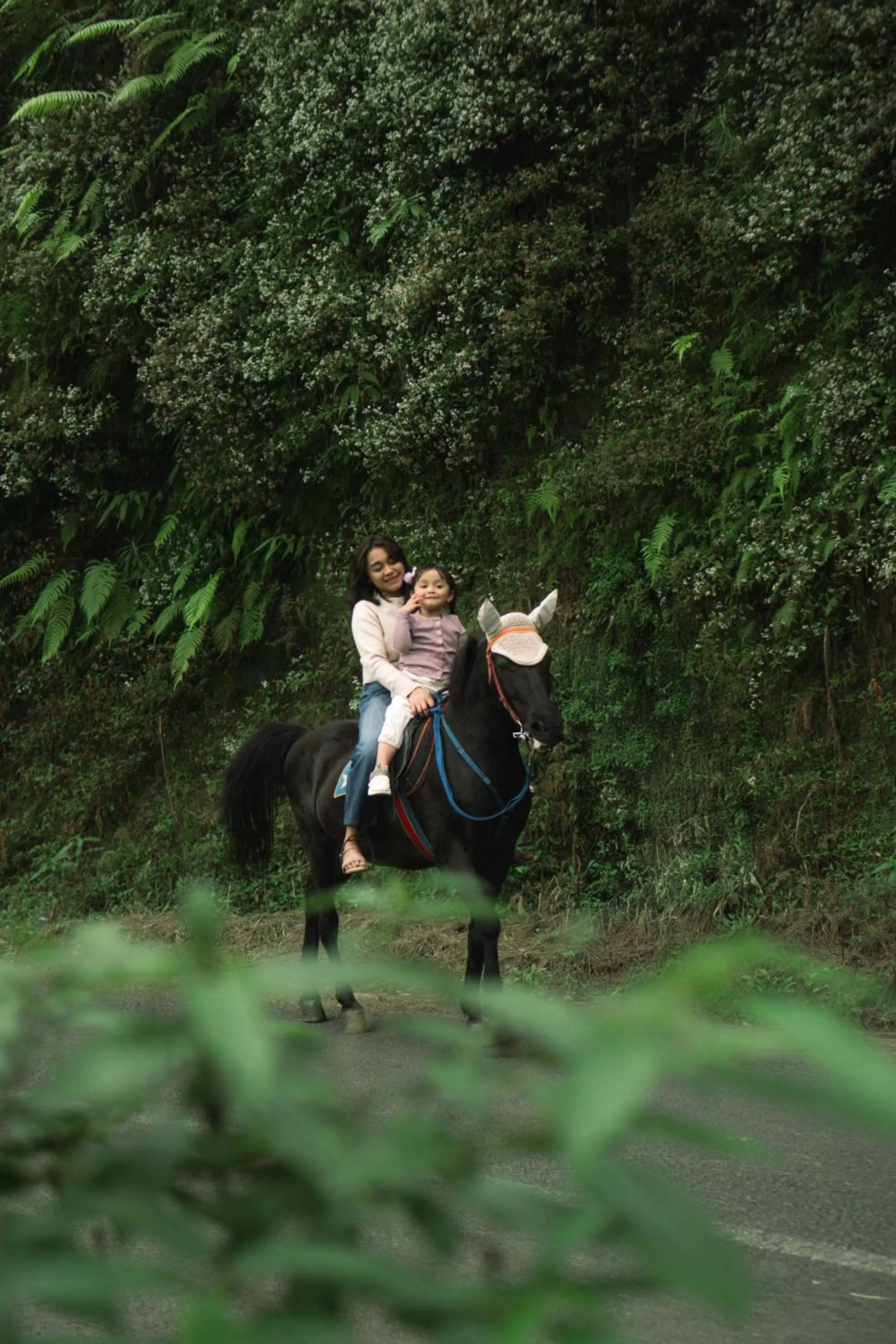 Horse-riding in Plataran Bromo