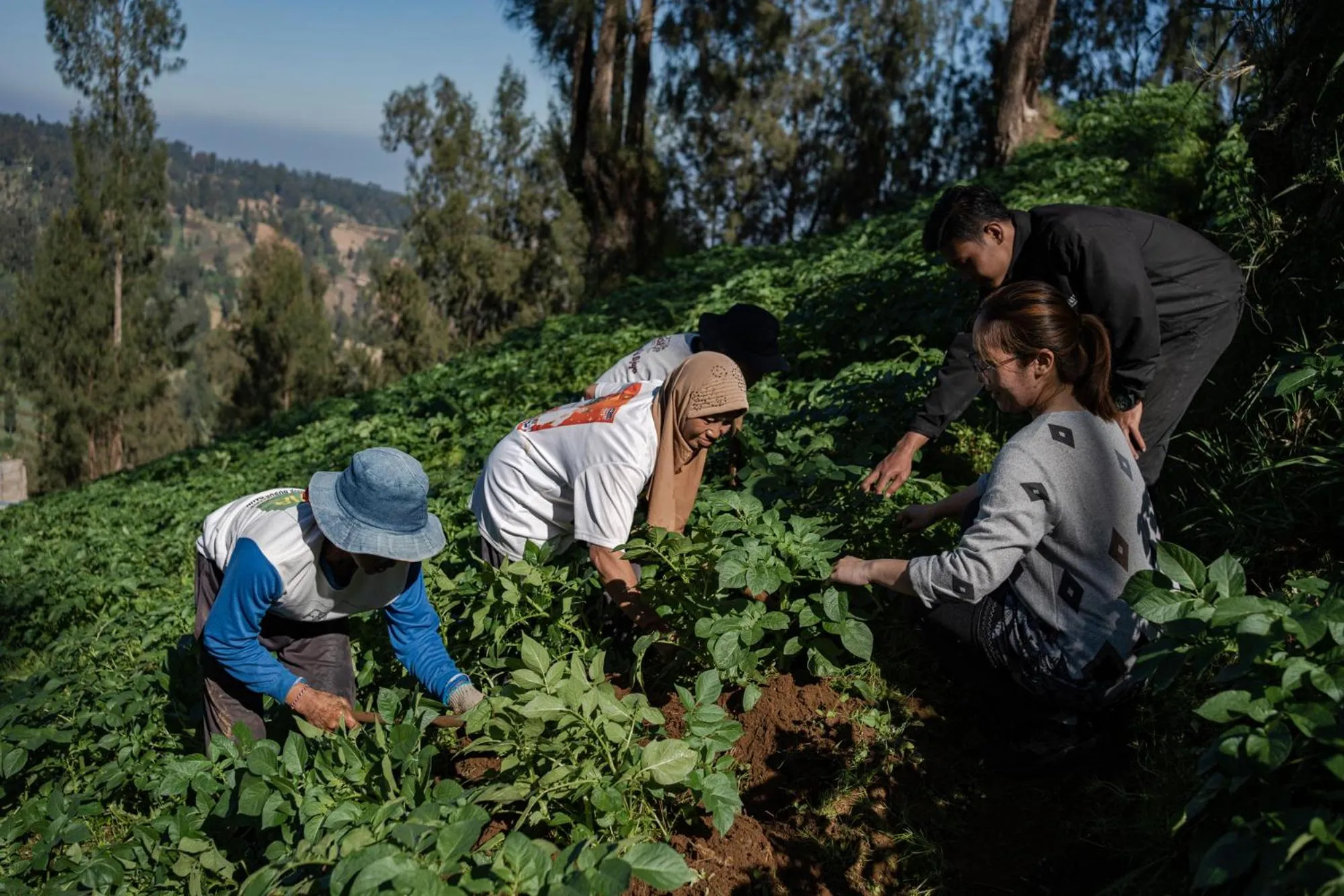 Activities in Plataran Bromo
