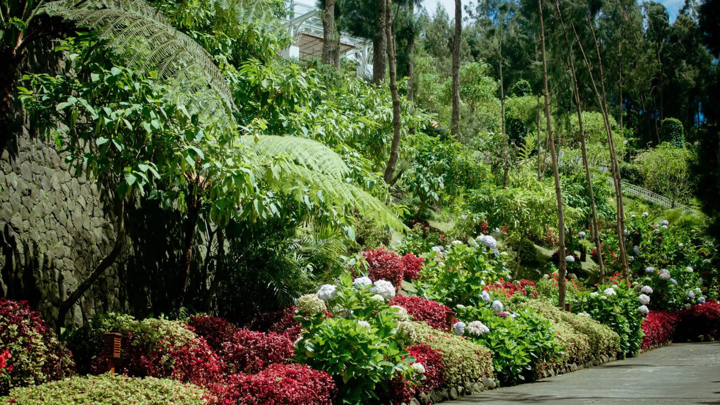 Garden in Plataran Bromo