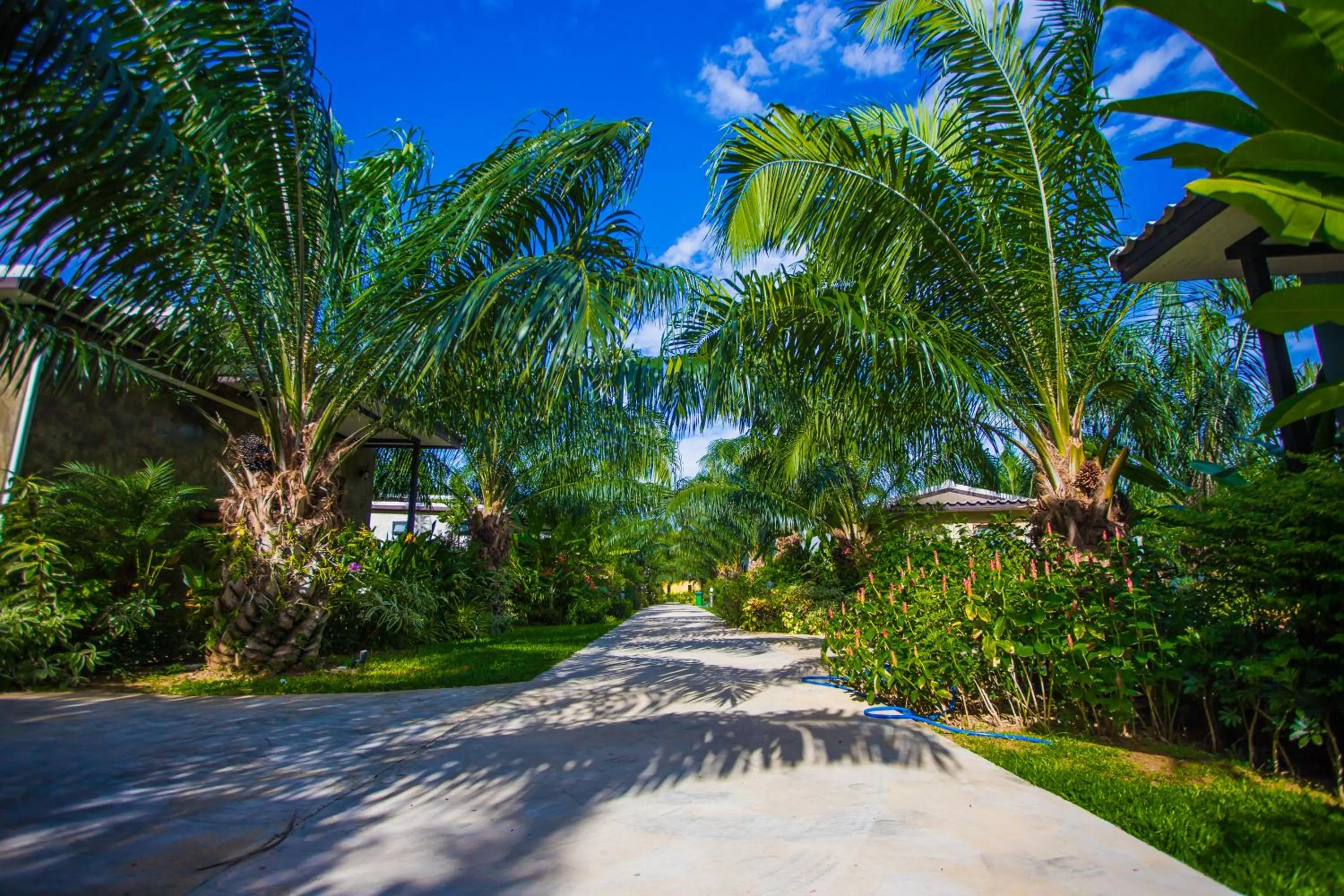 Natural landscape in Palm Pran Resort