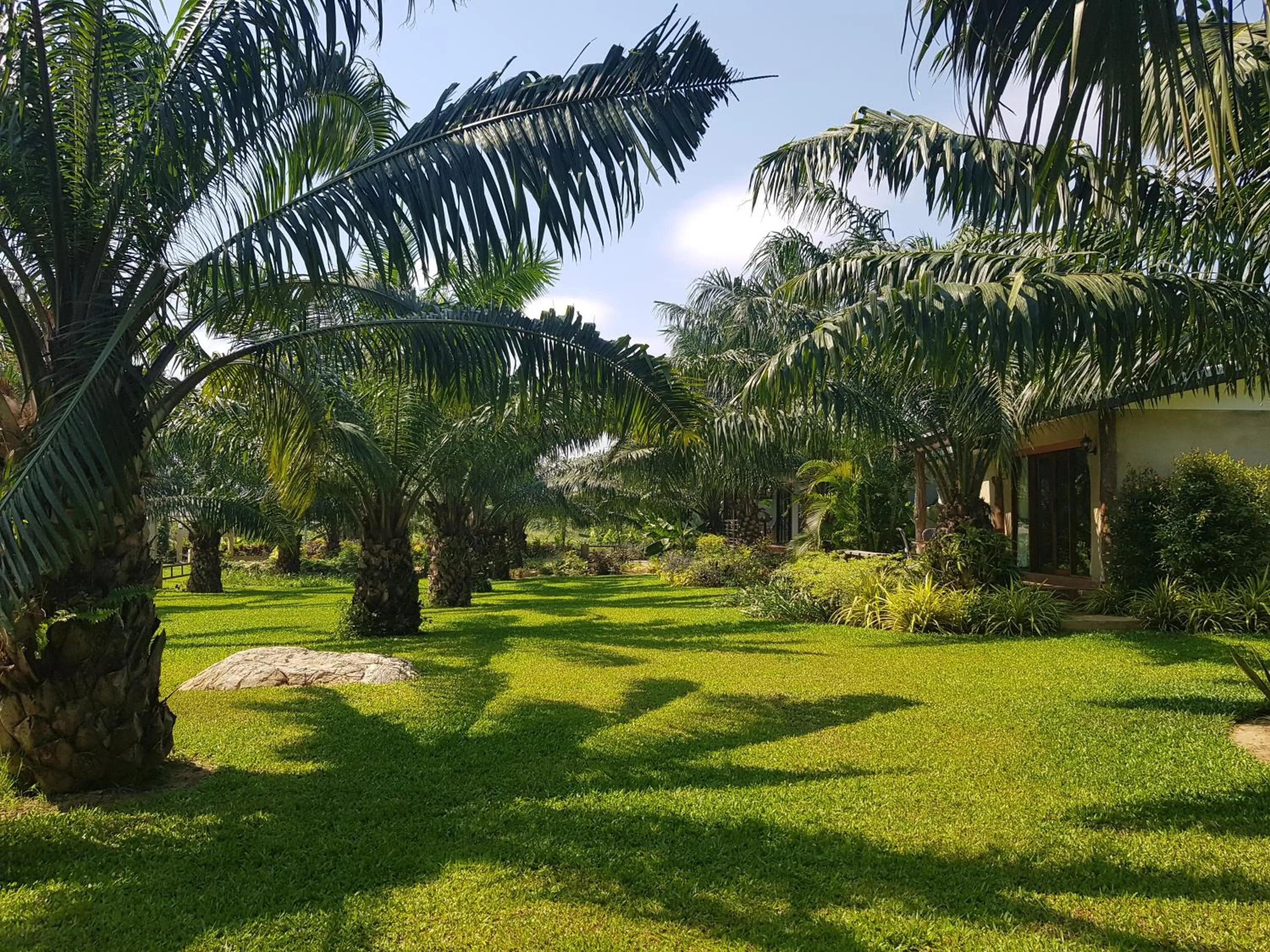 Garden view in Palm Pran Resort