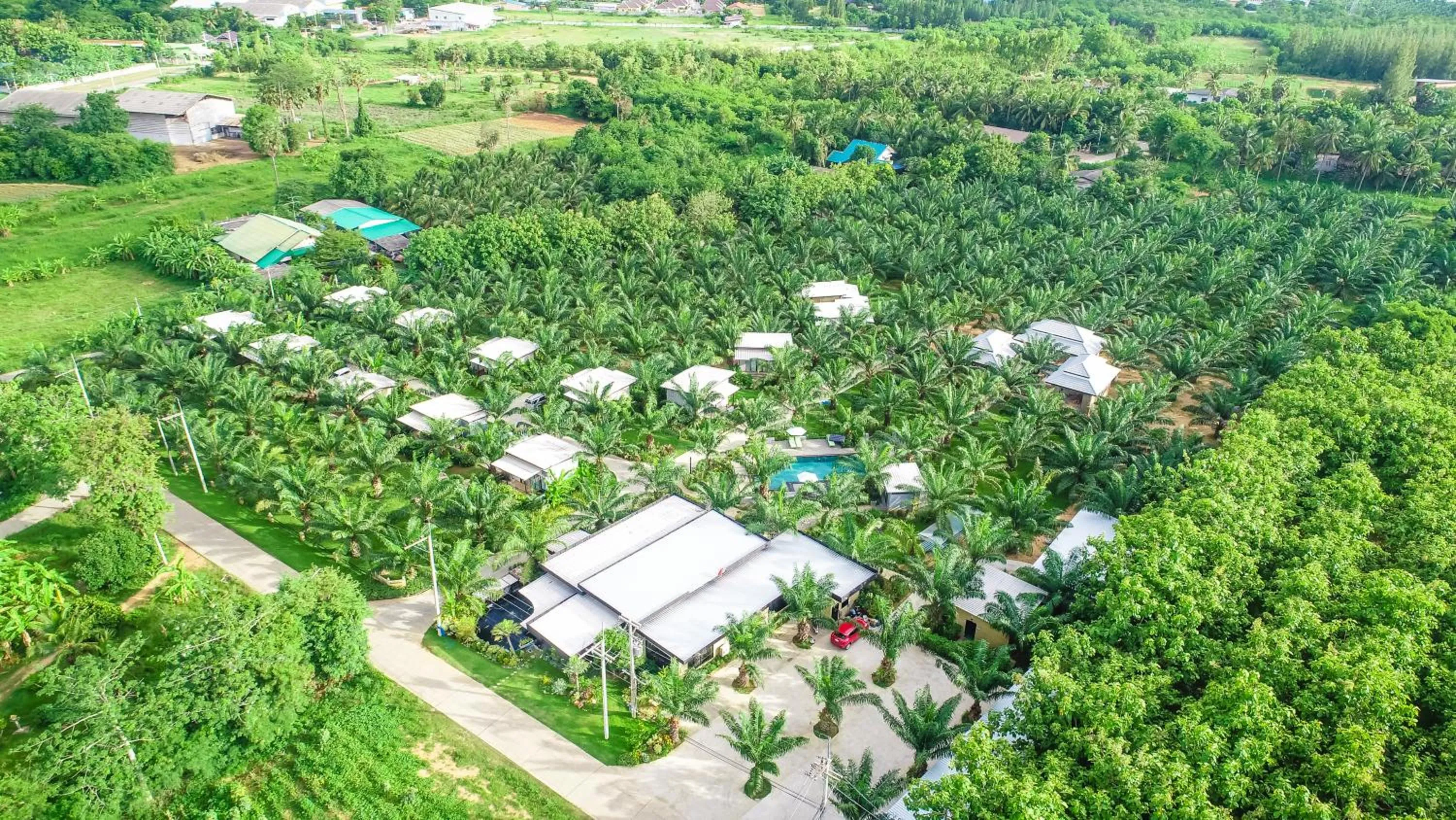 View (from property/room) in Palm Pran Resort