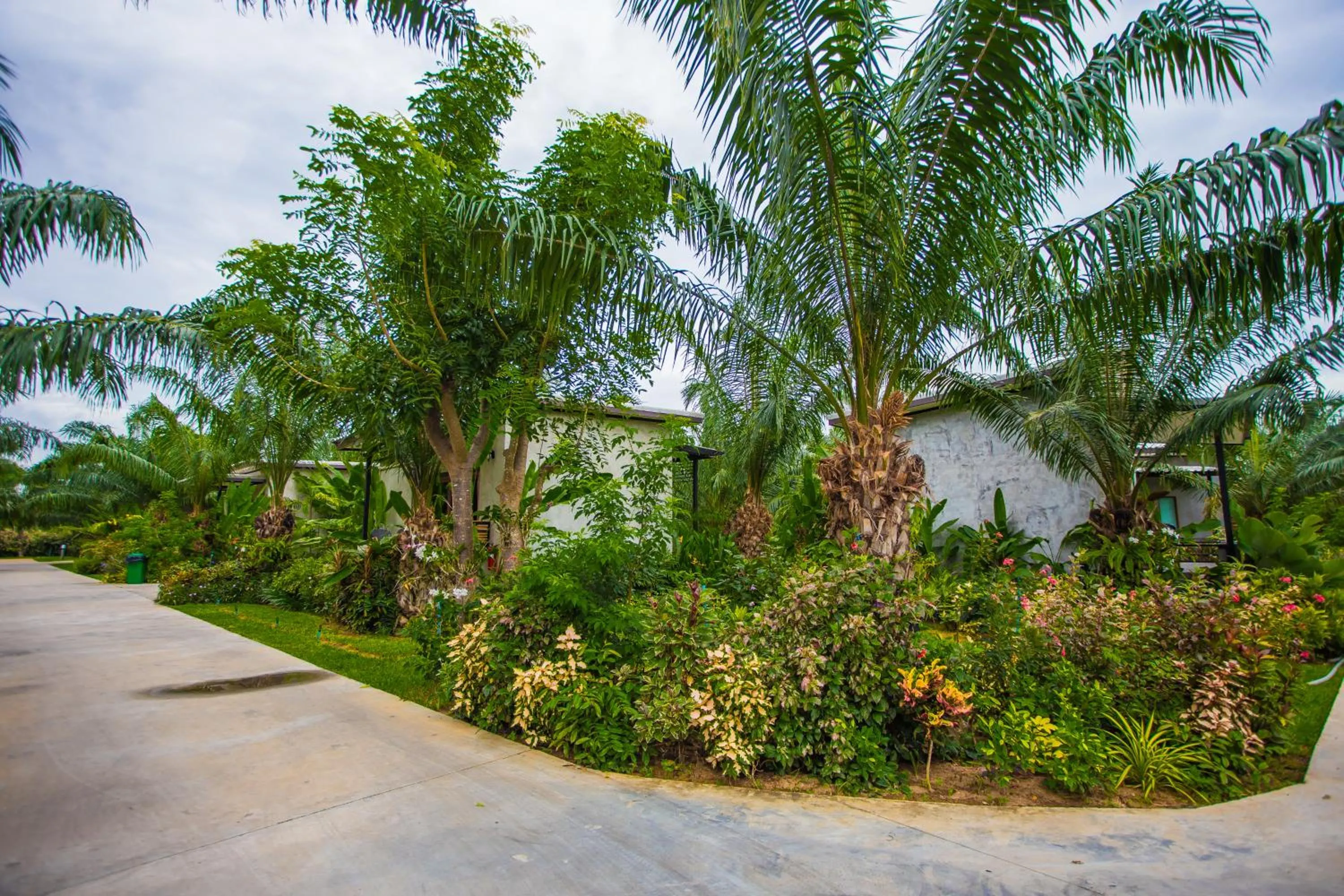 Natural landscape in Palm Pran Resort