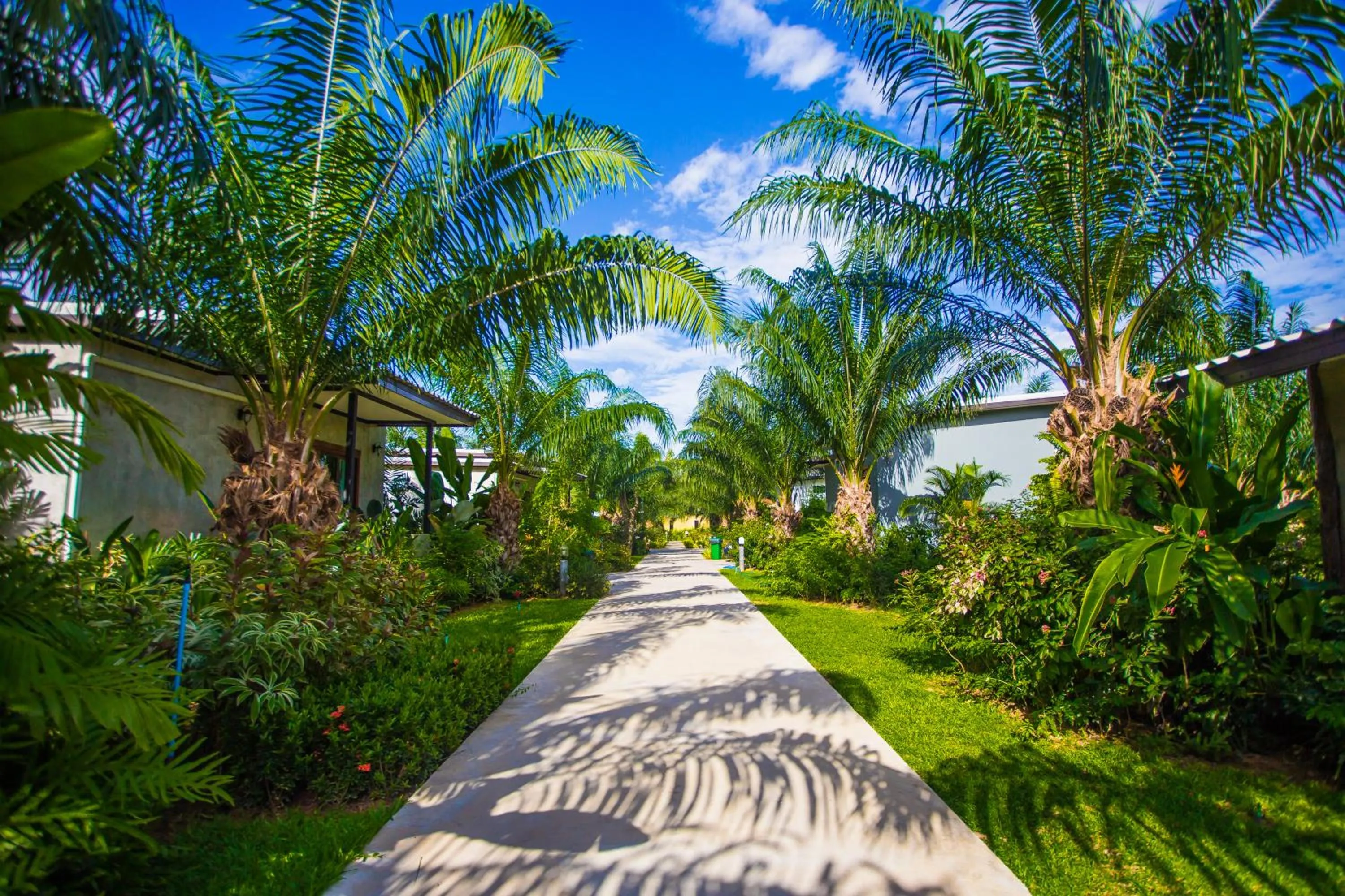 Area and facilities in Palm Pran Resort