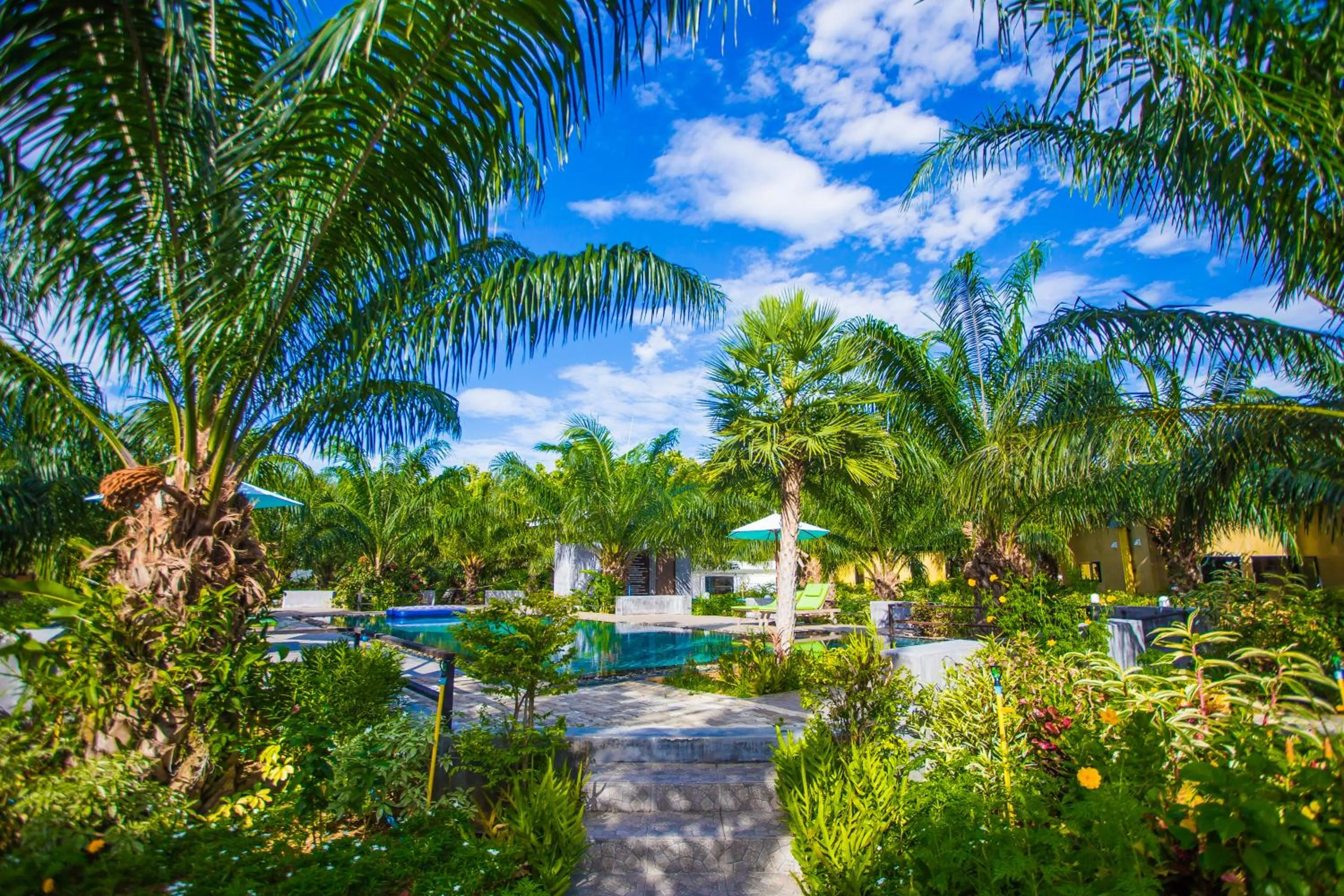 View (from property/room) in Palm Pran Resort