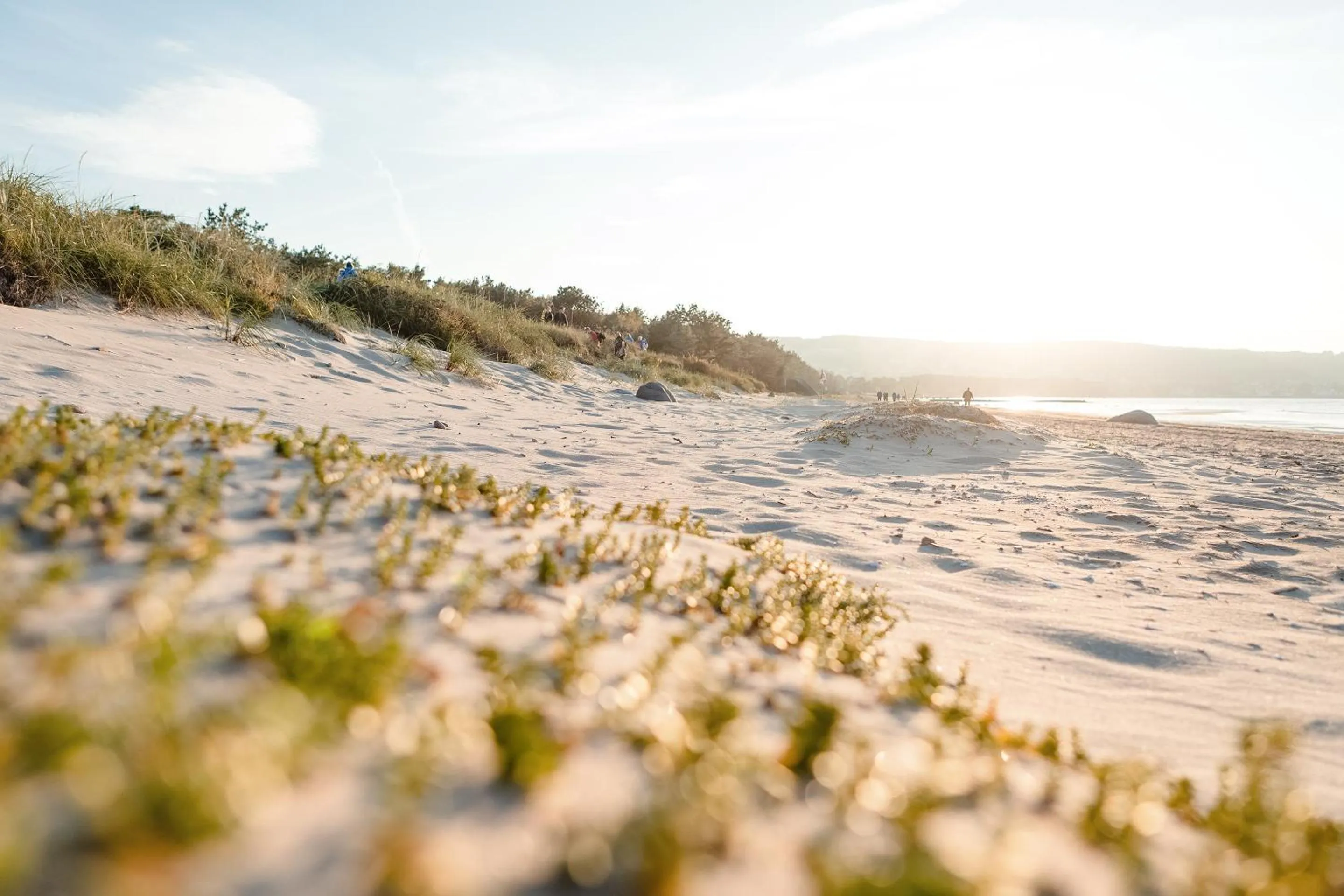 Beach in Hotel Riviera Strand