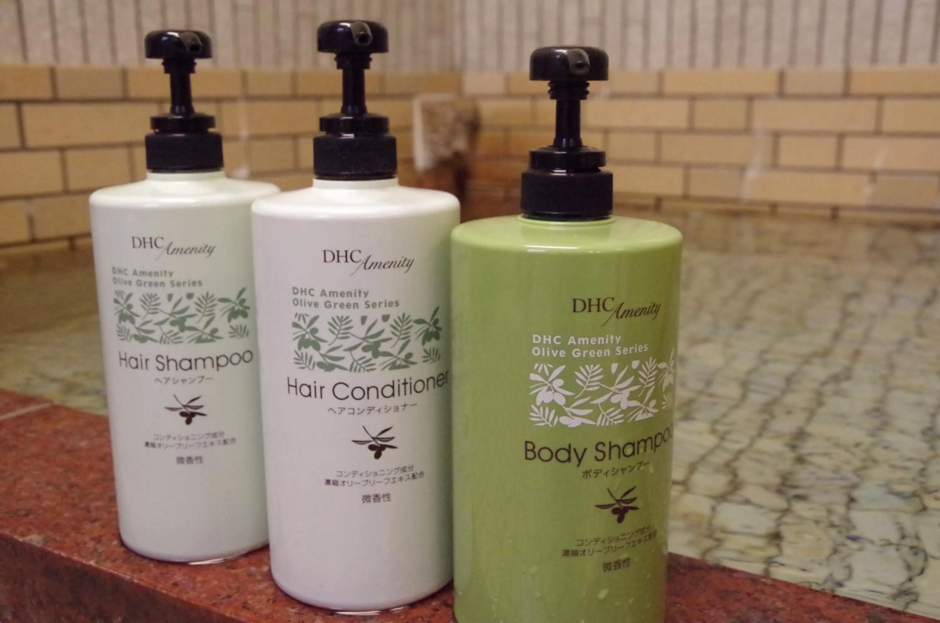 Hot Spring Bath in Ryoso Chatani