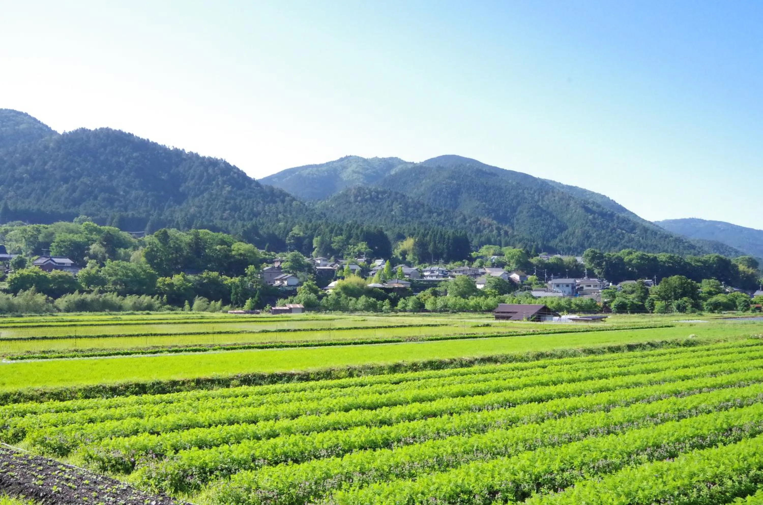 Property building in Ryoso Chatani