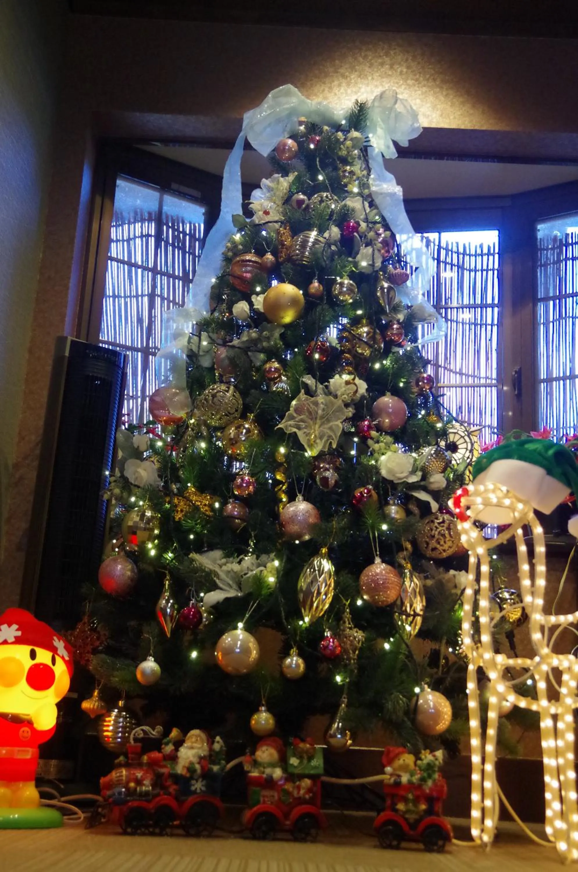 Winter in Ryoso Chatani