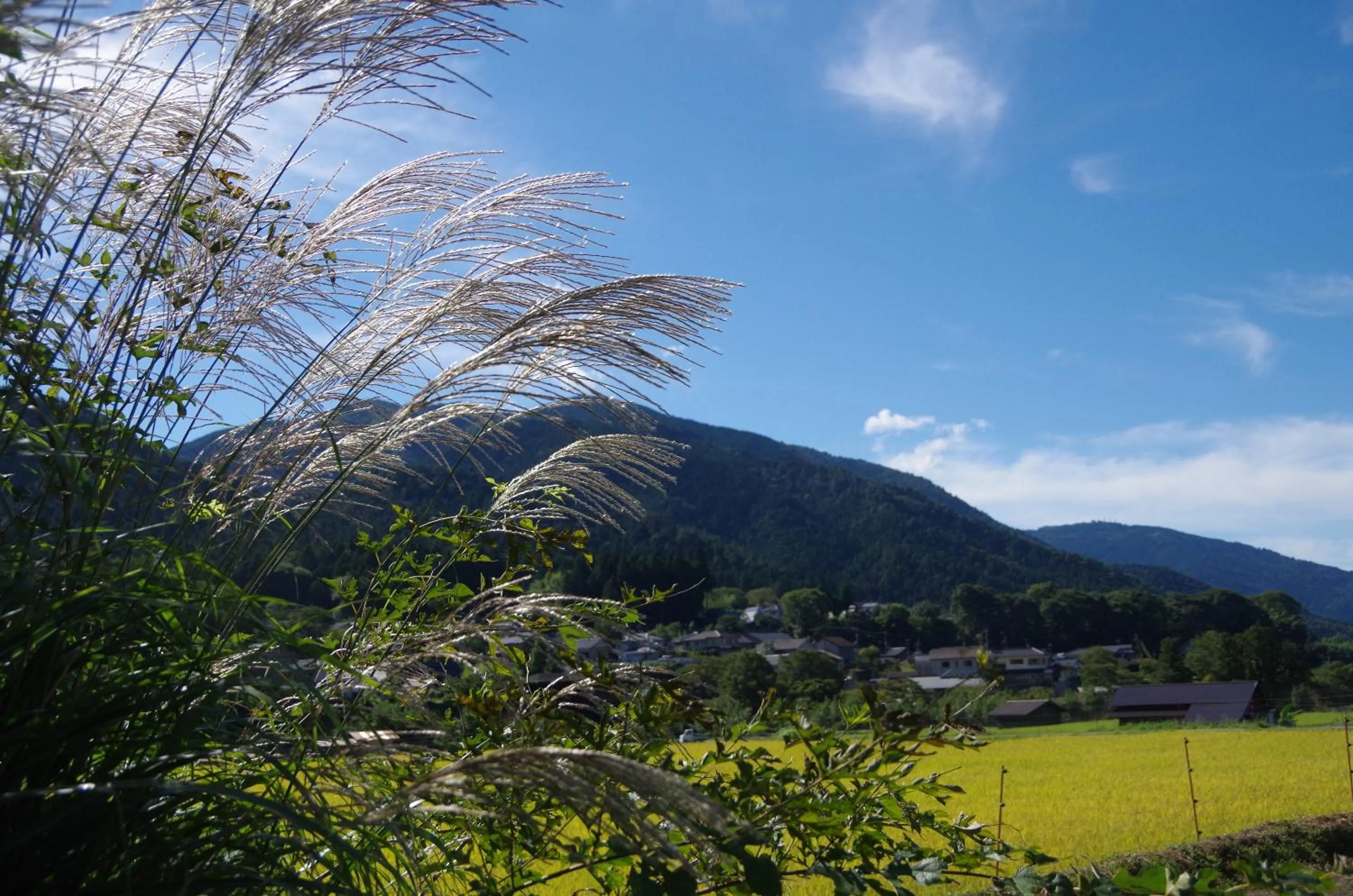 Off site in Ryoso Chatani