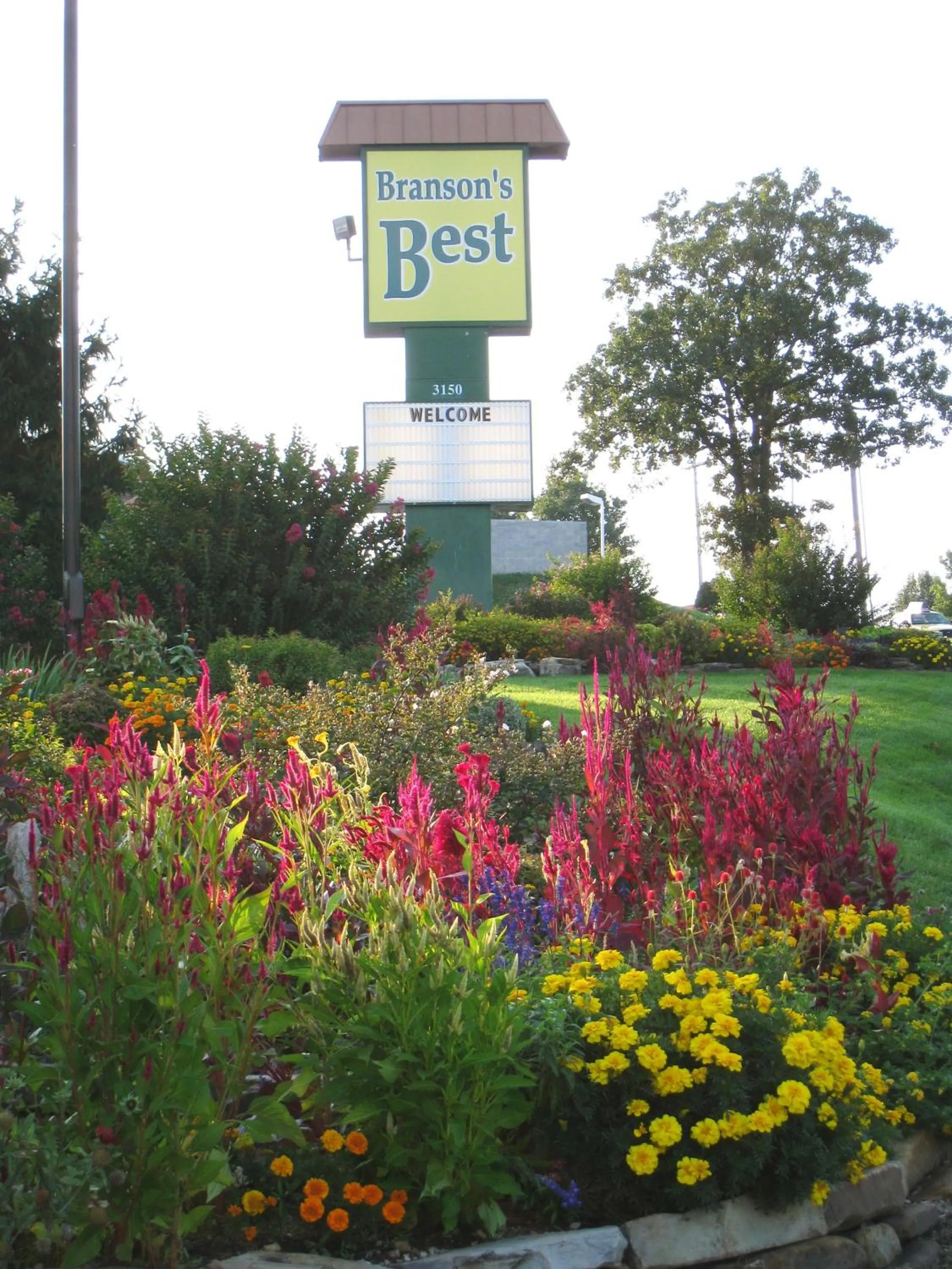 Spring in Branson's Best