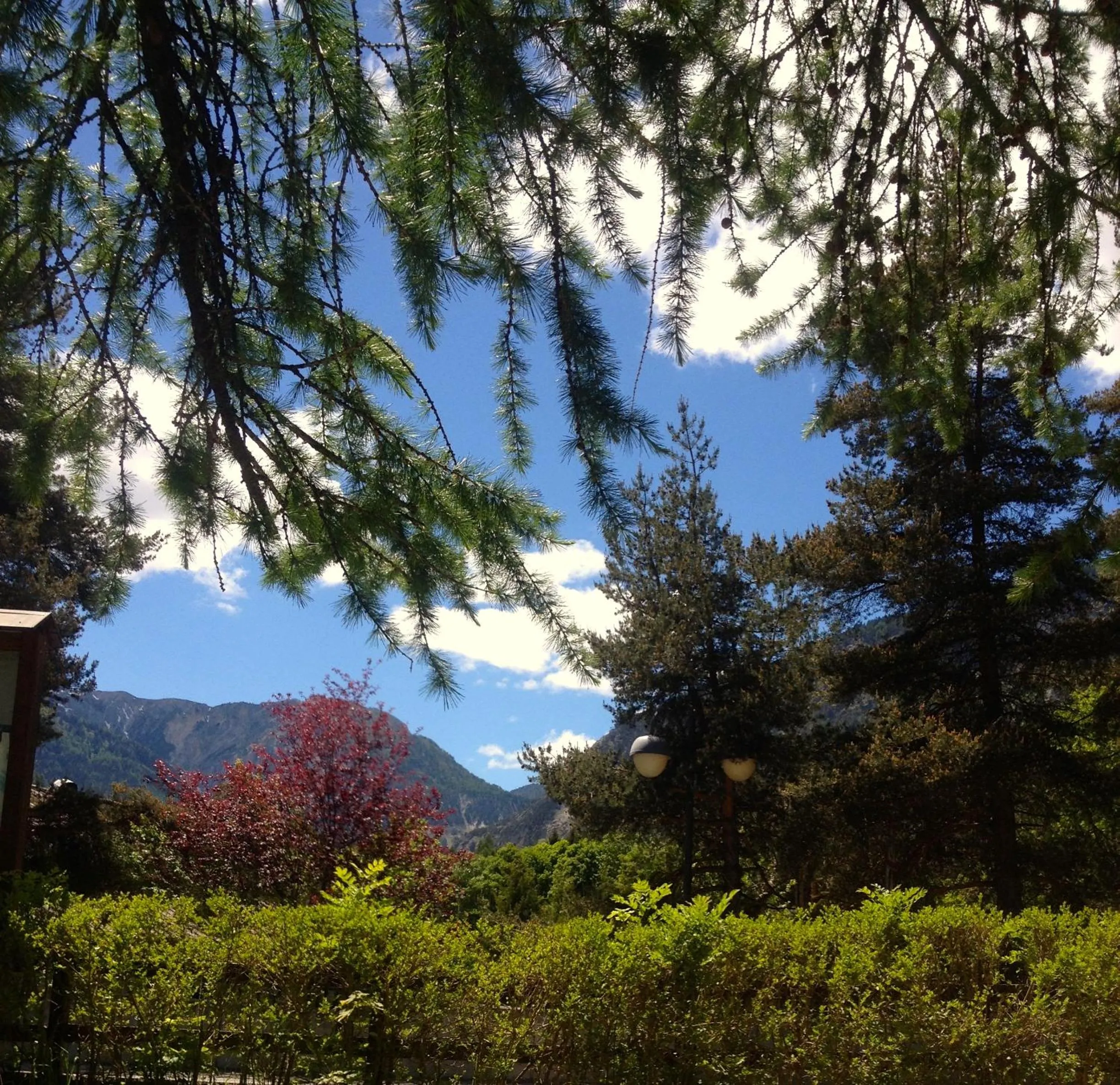 Day in Hotel Rosa Serenella