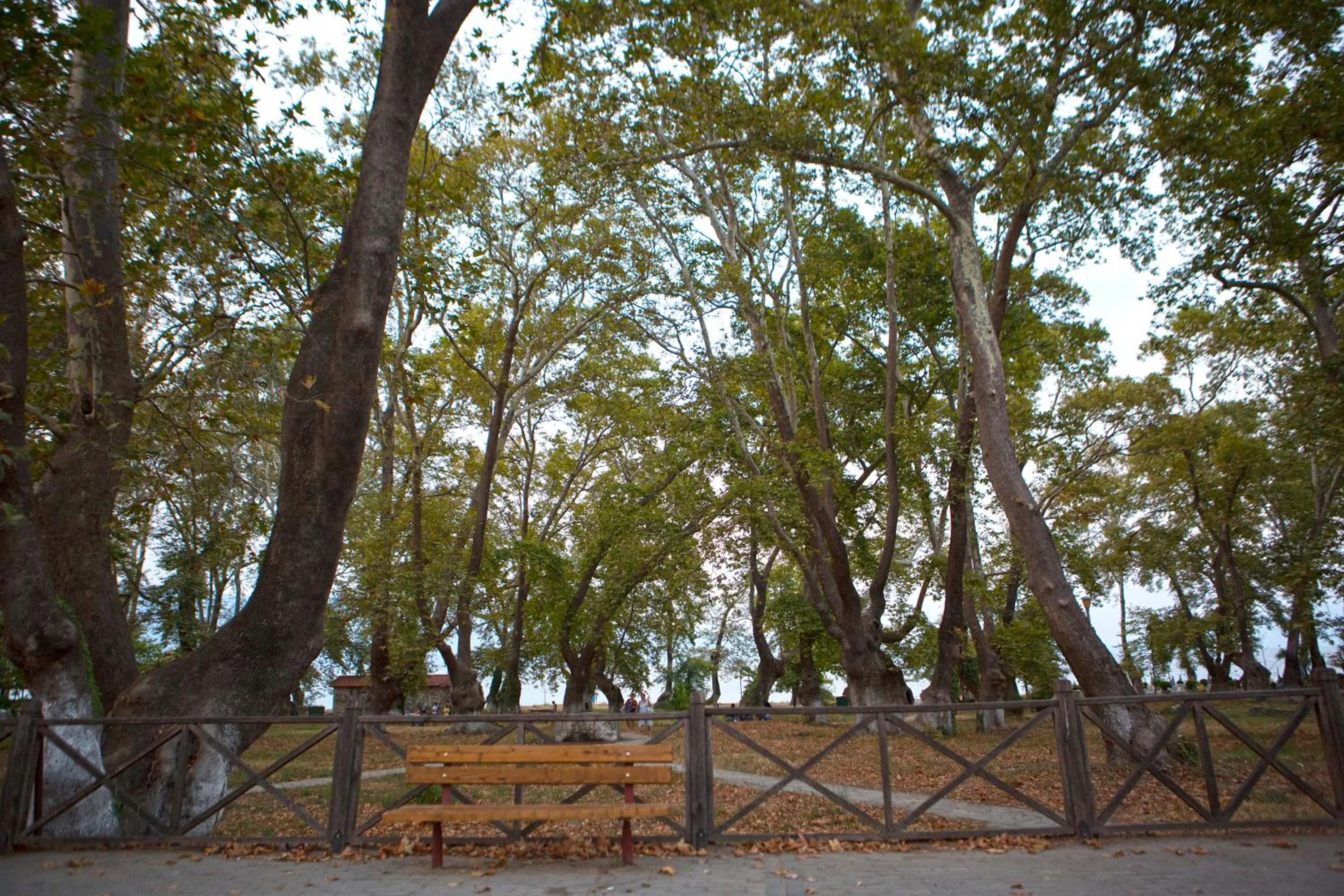 Nearby landmark in Alexander Inn