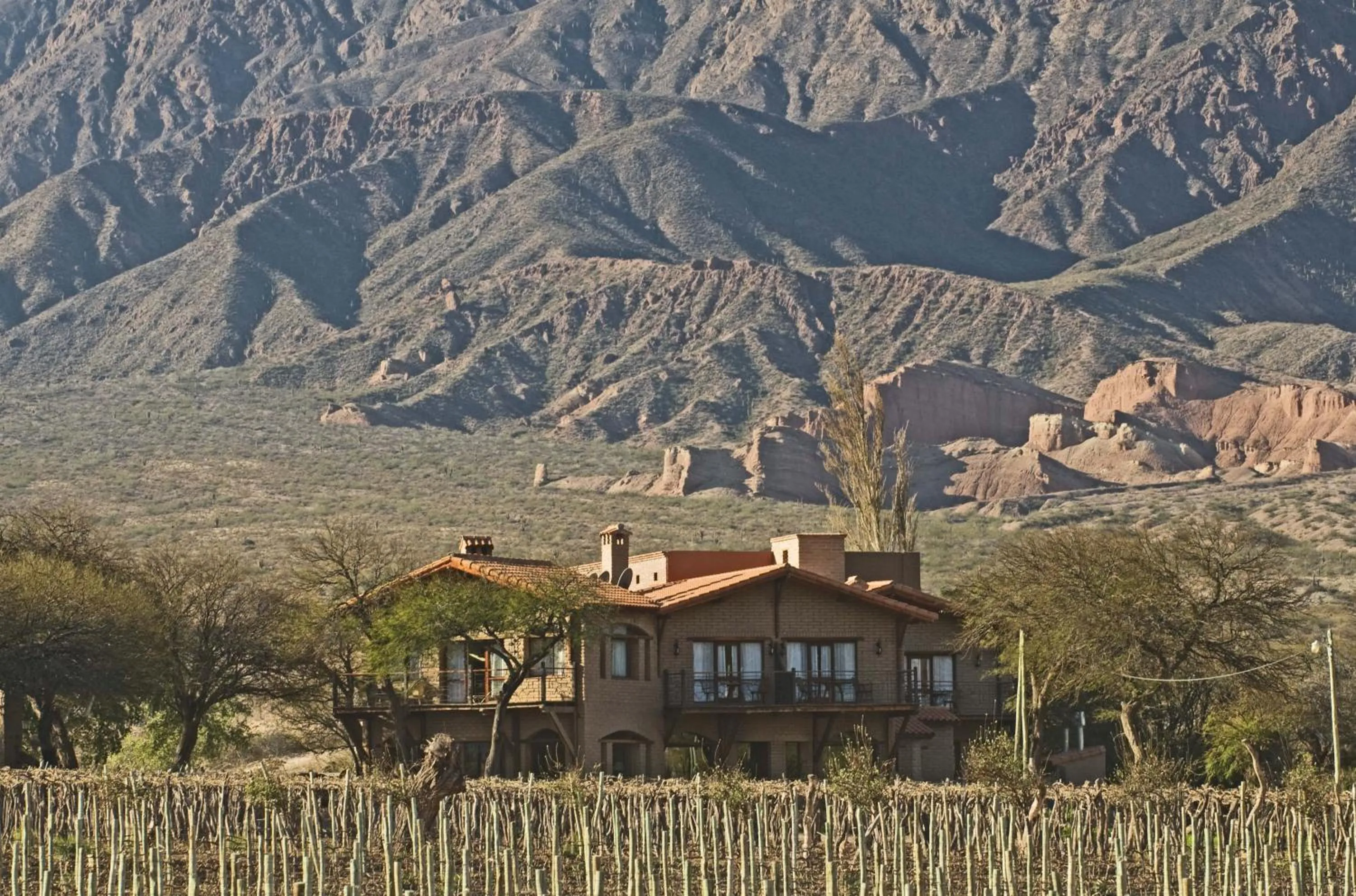 Property building in La Casa De La Bodega - Wine Boutique Hotel