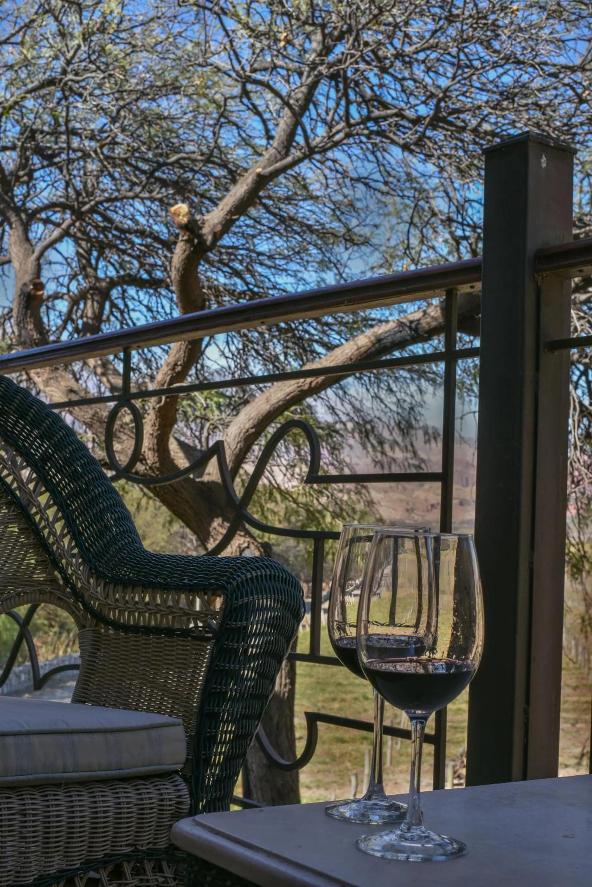 Balcony/Terrace in La Casa De La Bodega - Wine Boutique Hotel
