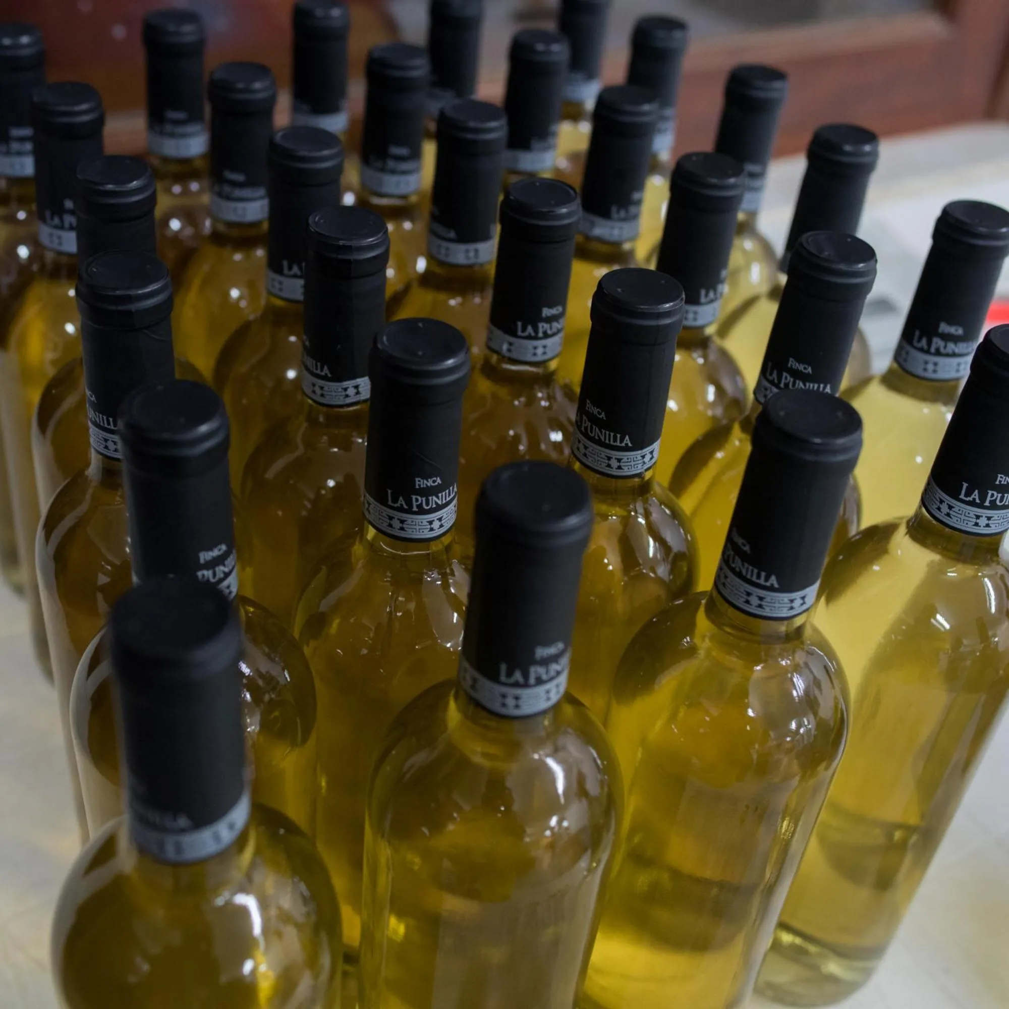 Activities in La Casa De La Bodega - Wine Boutique Hotel