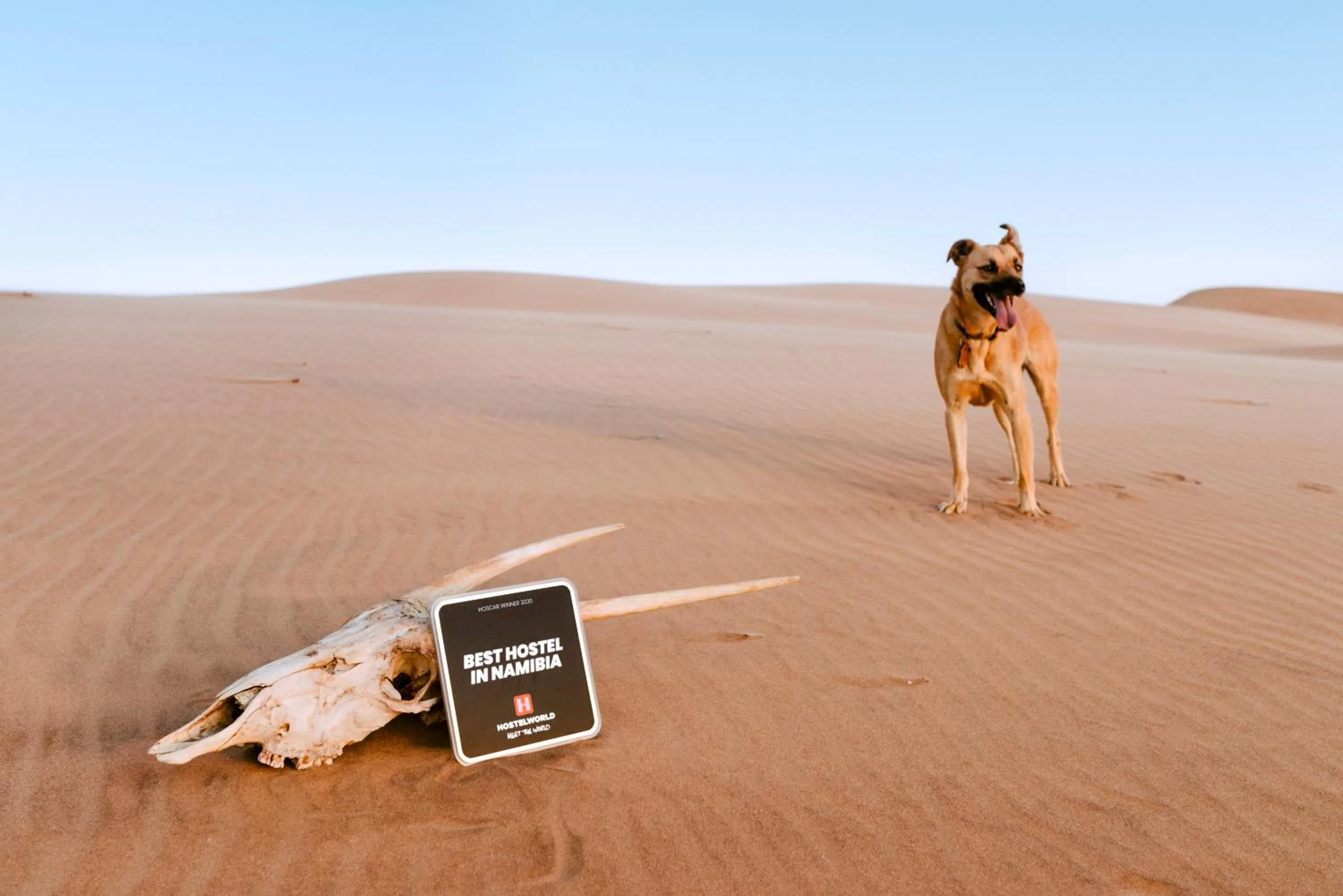 Natural landscape in Salty Jackal Surf Camp