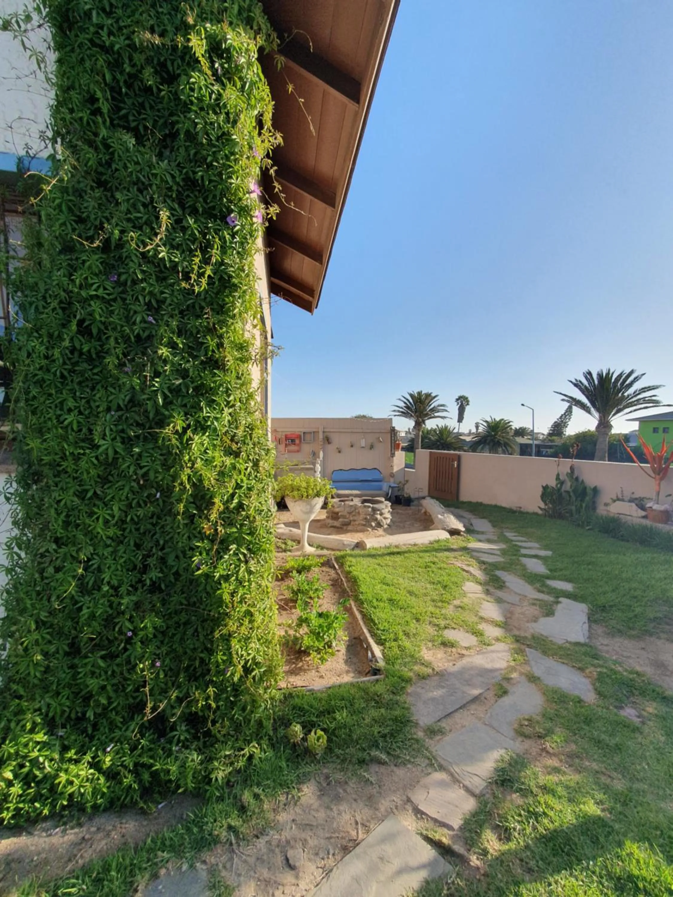 Garden in Salty Jackal Surf Camp