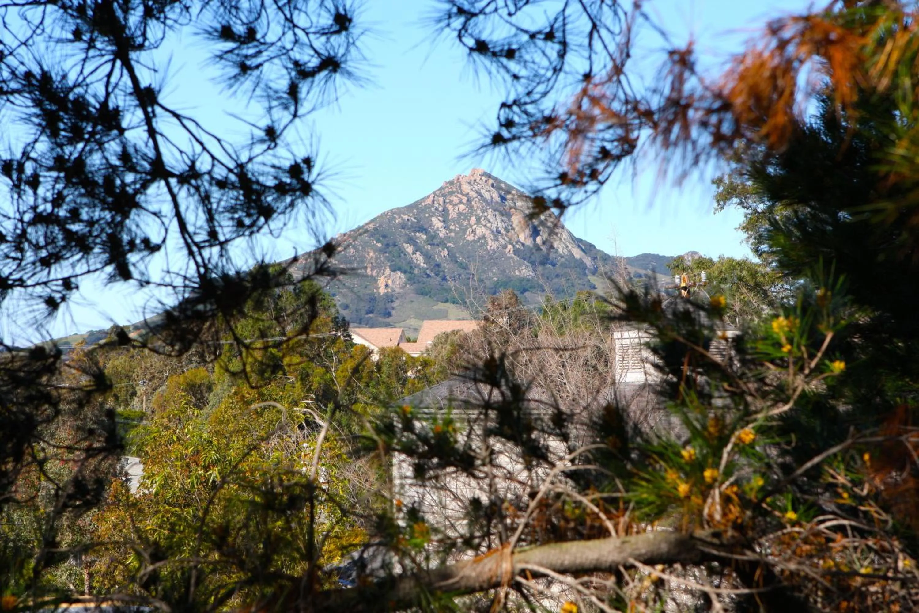 Area and facilities in Hotel Buena Vista - San Luis Obispo