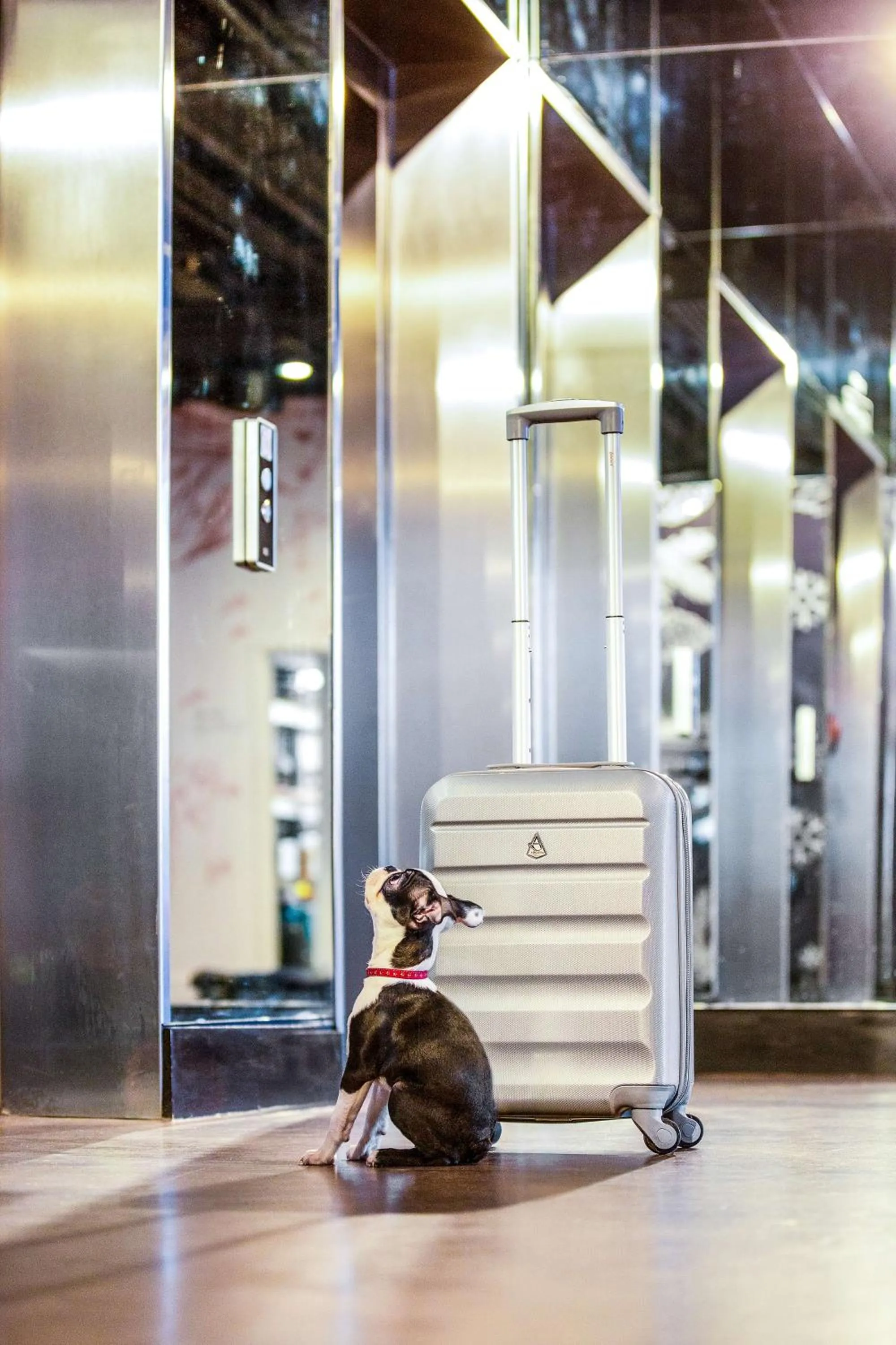 Lobby or reception in Radisson RED Hotel, Glasgow