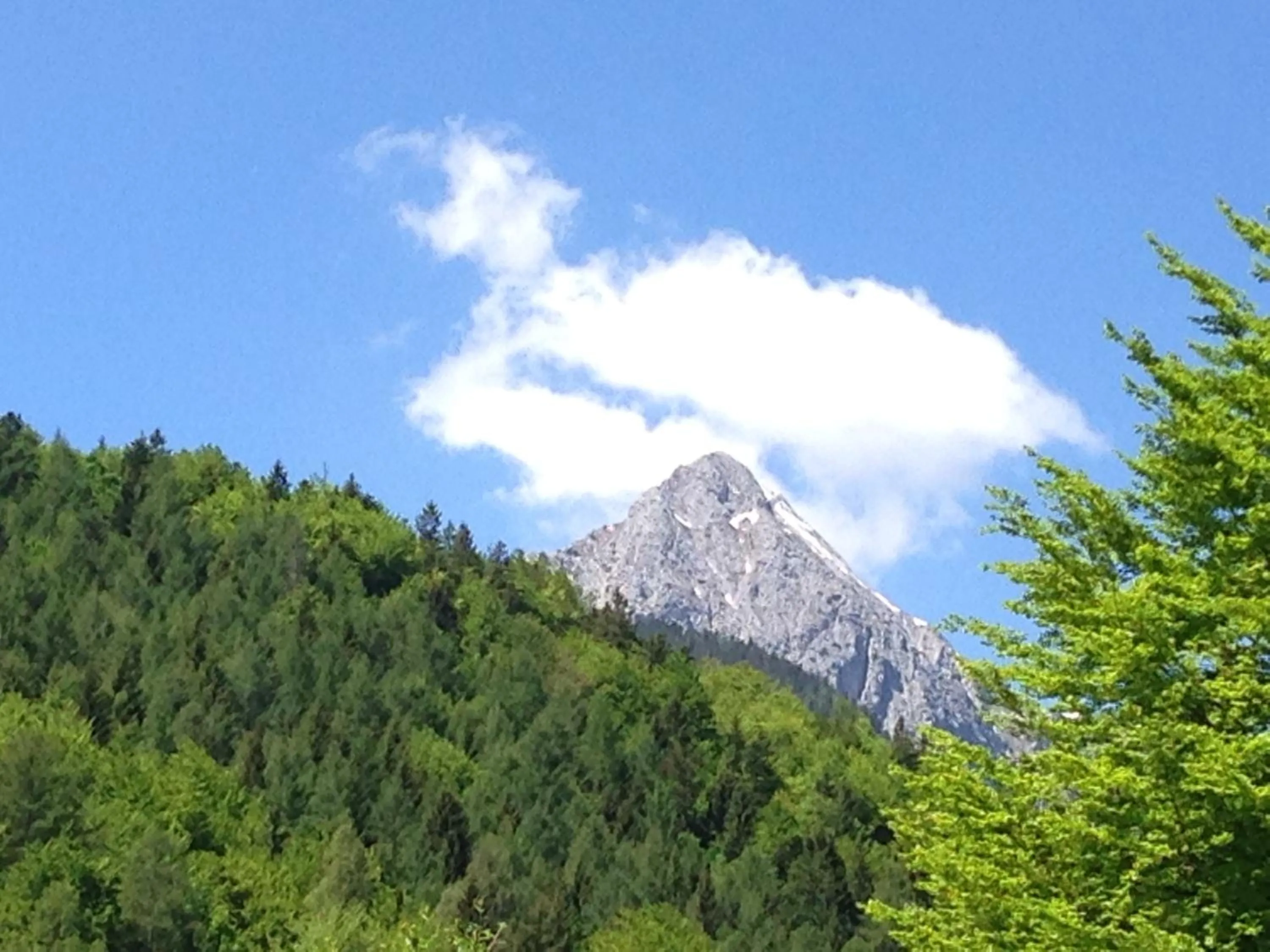 Mountain view in Hotel Franziska