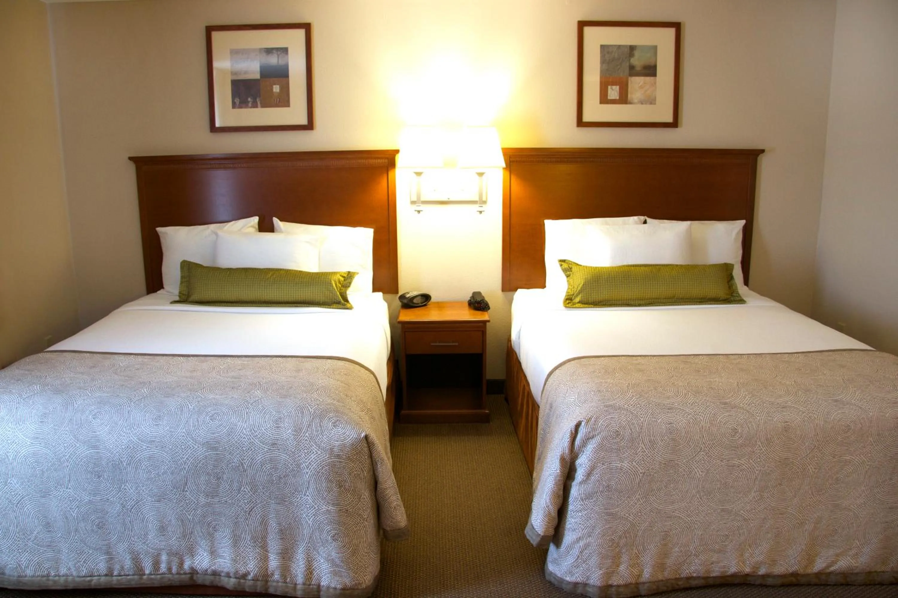 Photo of the whole room, Bed in Candlewood Suites Champaign-Urbana University Area by IHG