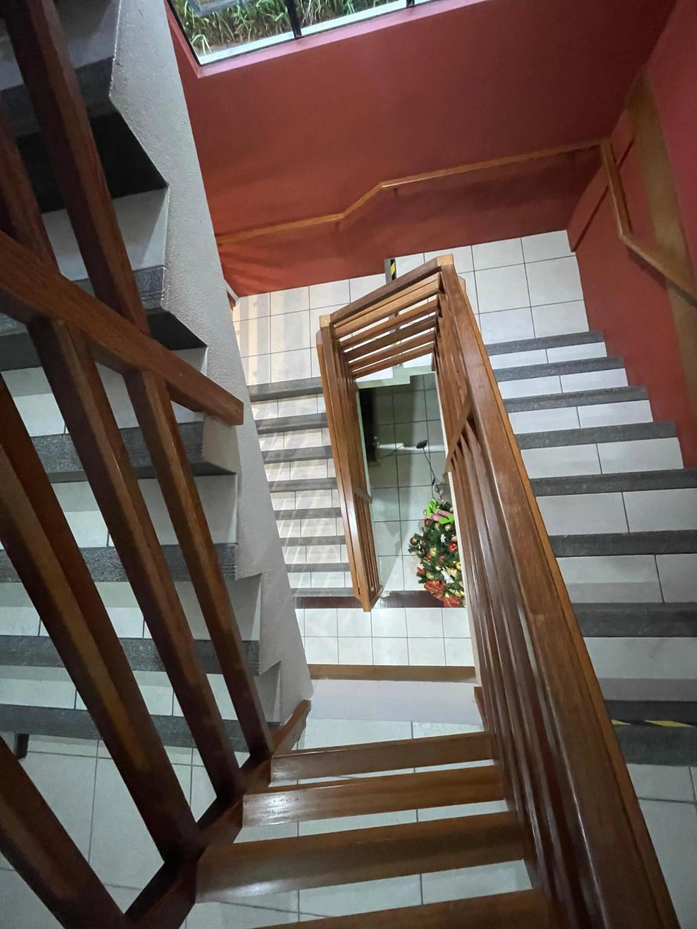 Area and facilities in Hotel Cambirela