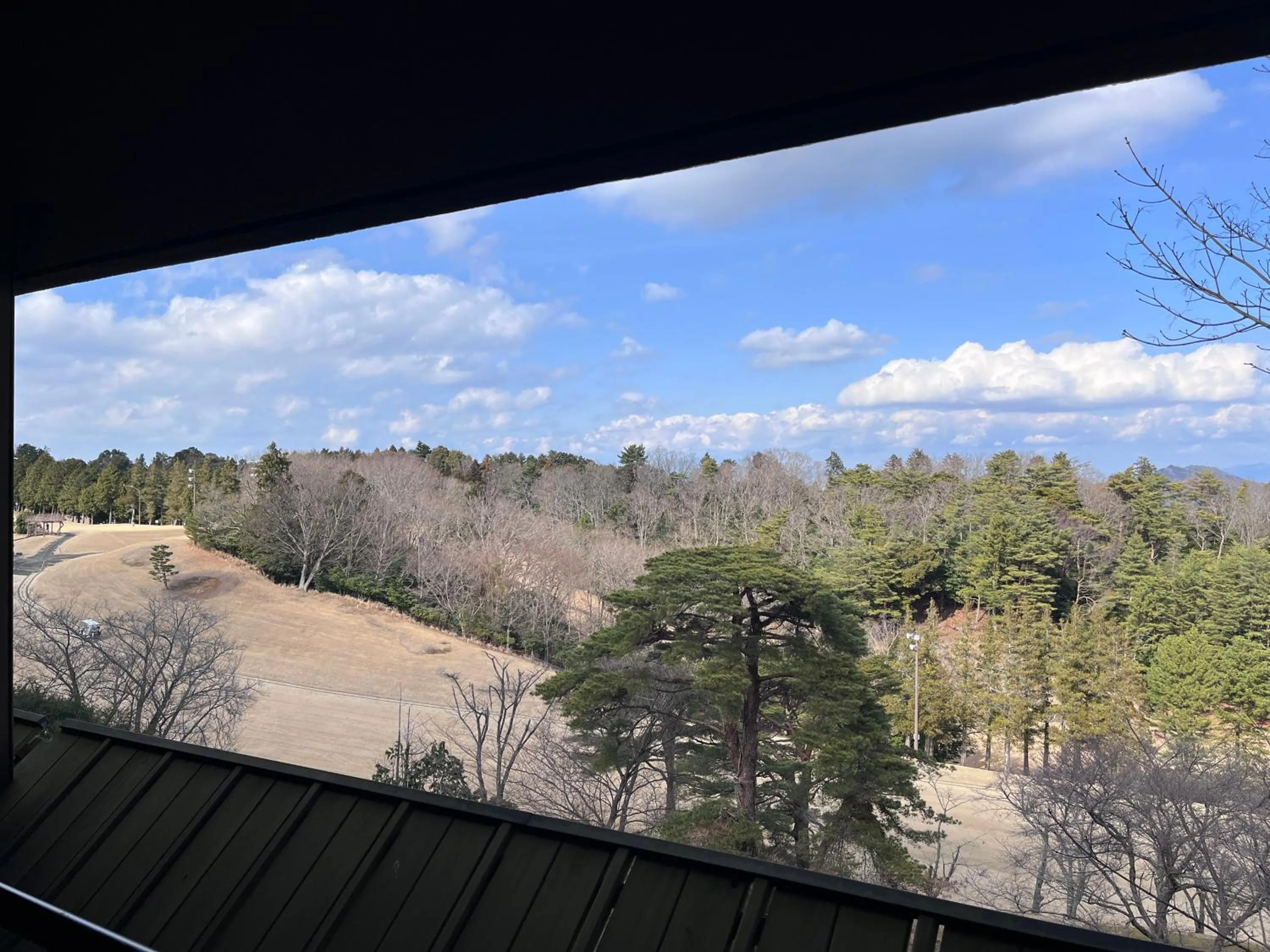 View (from property/room) in Laforet Shuzenji Sanshisuimei