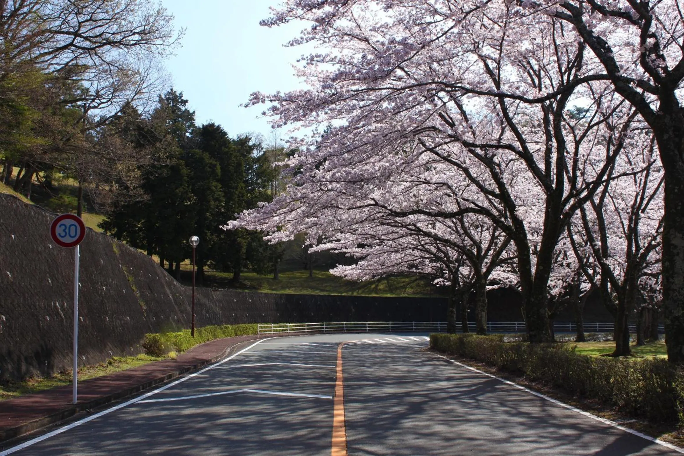 Area and facilities in Laforet Shuzenji Sanshisuimei
