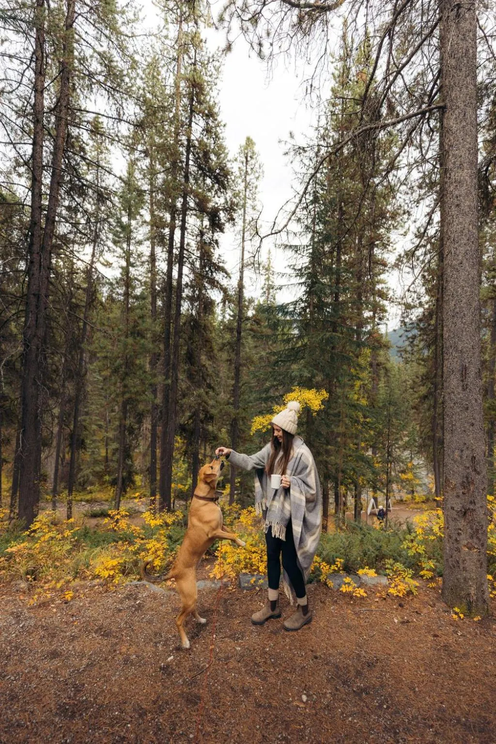 Pets in Johnston Canyon Lodge & Bungalows