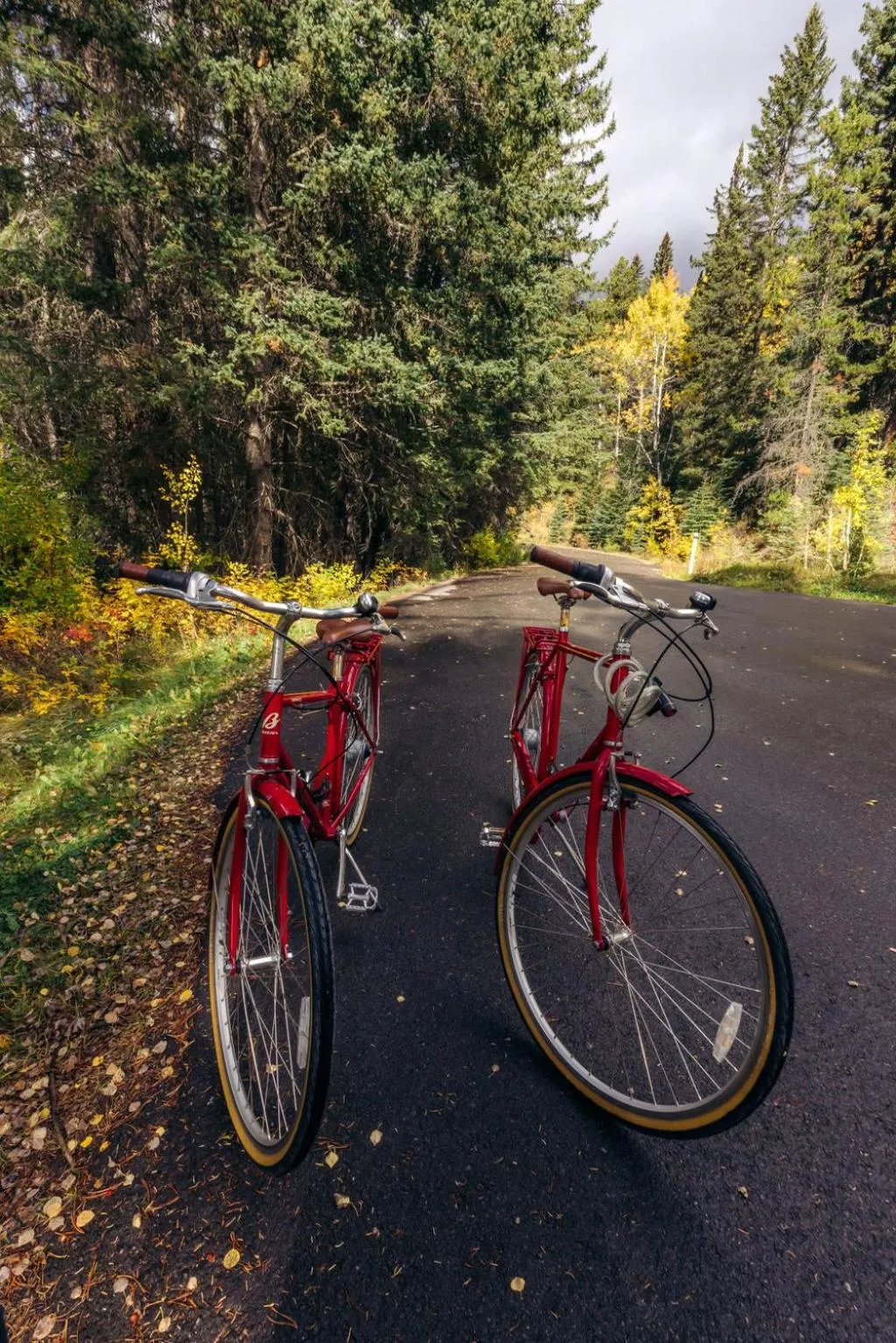 Cycling in Johnston Canyon Lodge & Bungalows