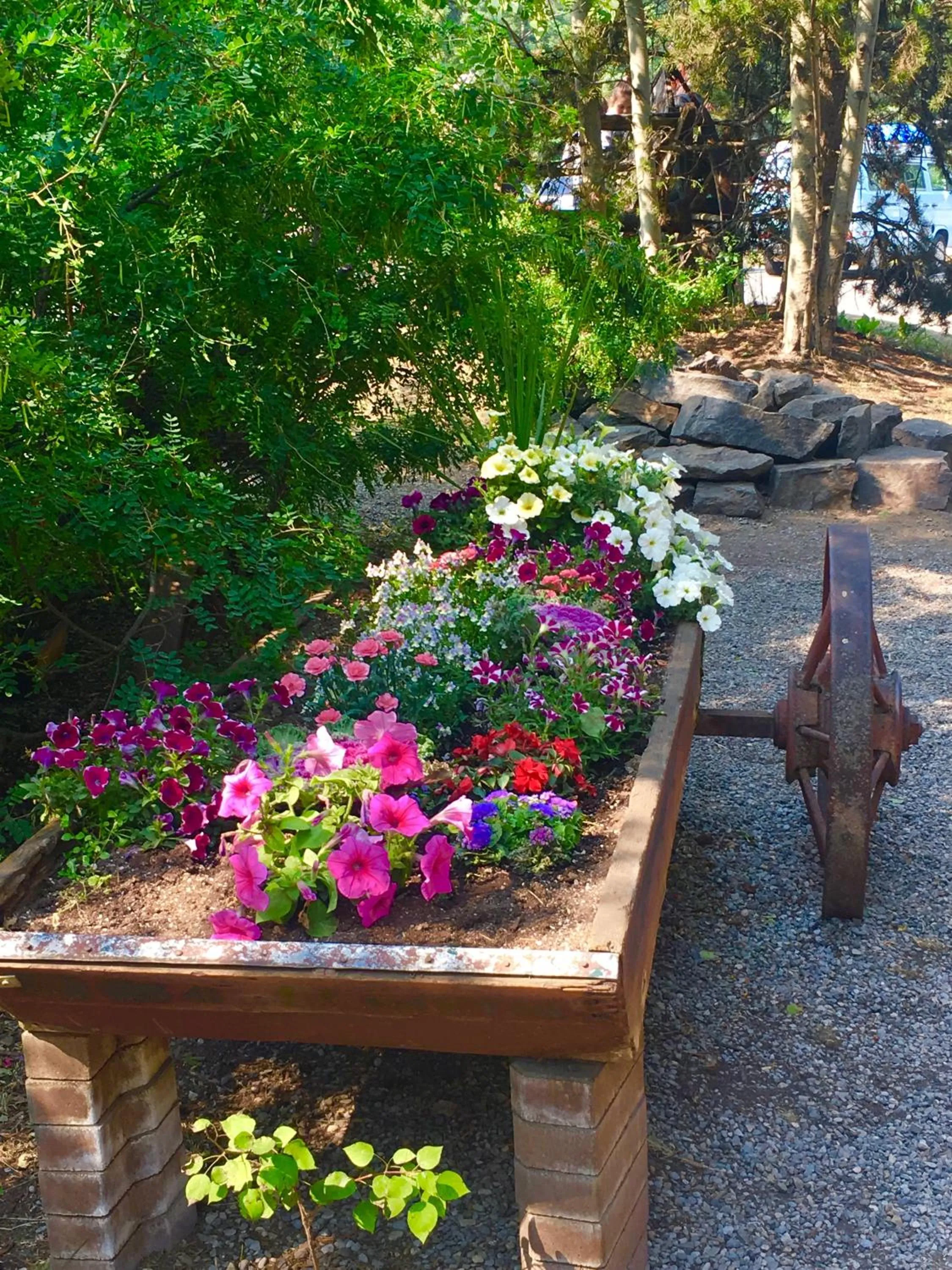 Garden in Johnston Canyon Lodge & Bungalows