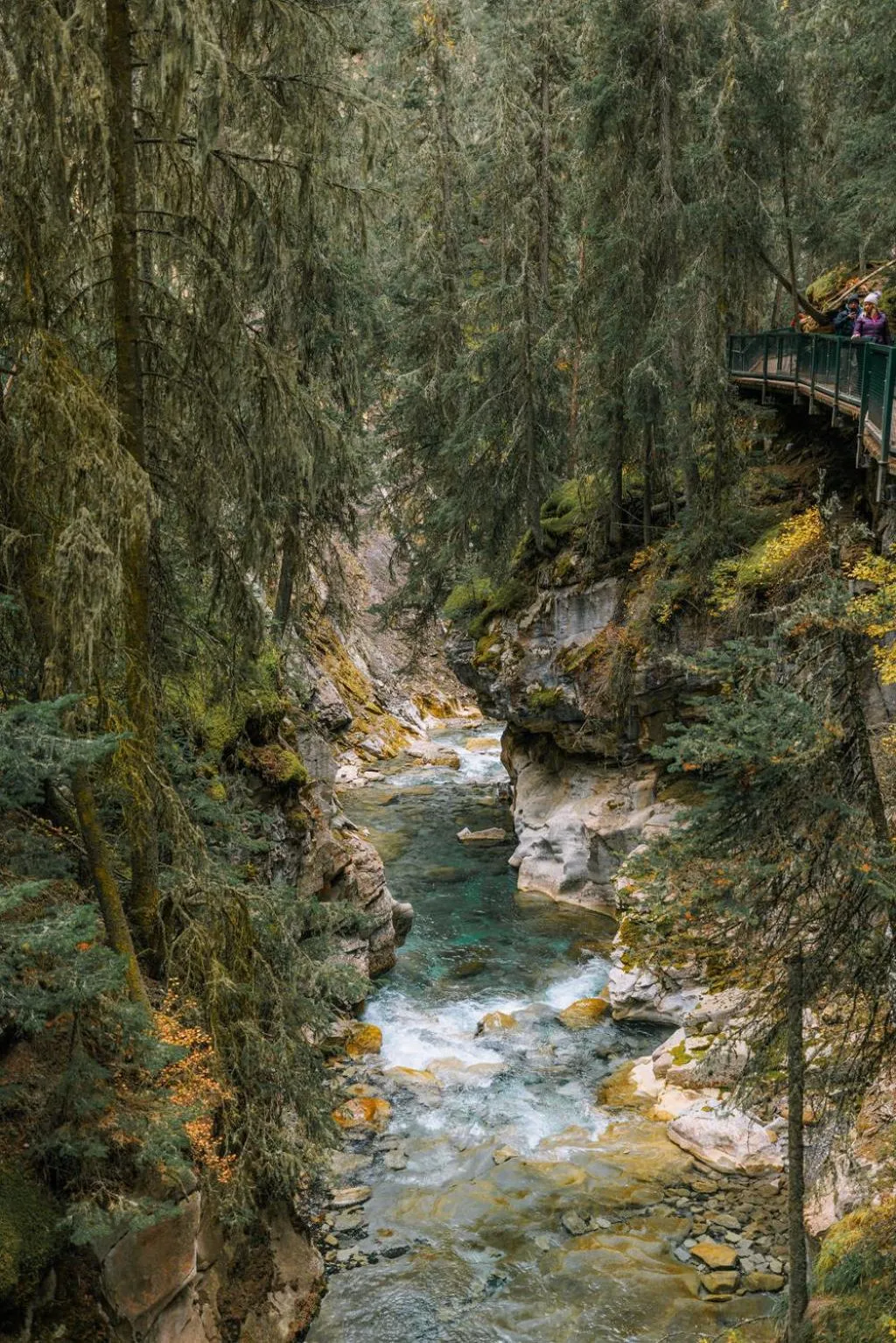 Hiking in Johnston Canyon Lodge & Bungalows